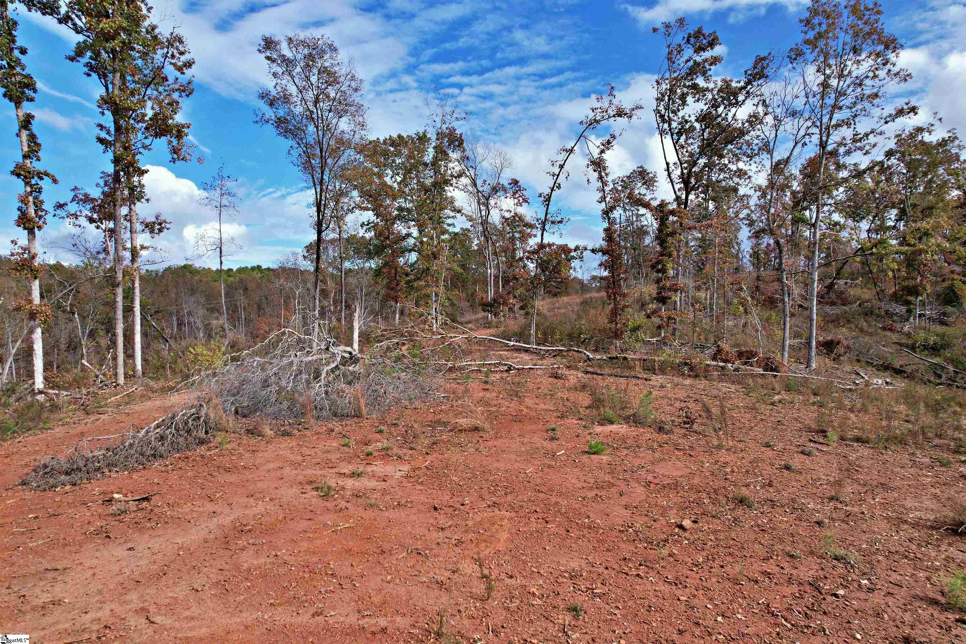 0000 Moorefield Memorial Highway Property Photo 20