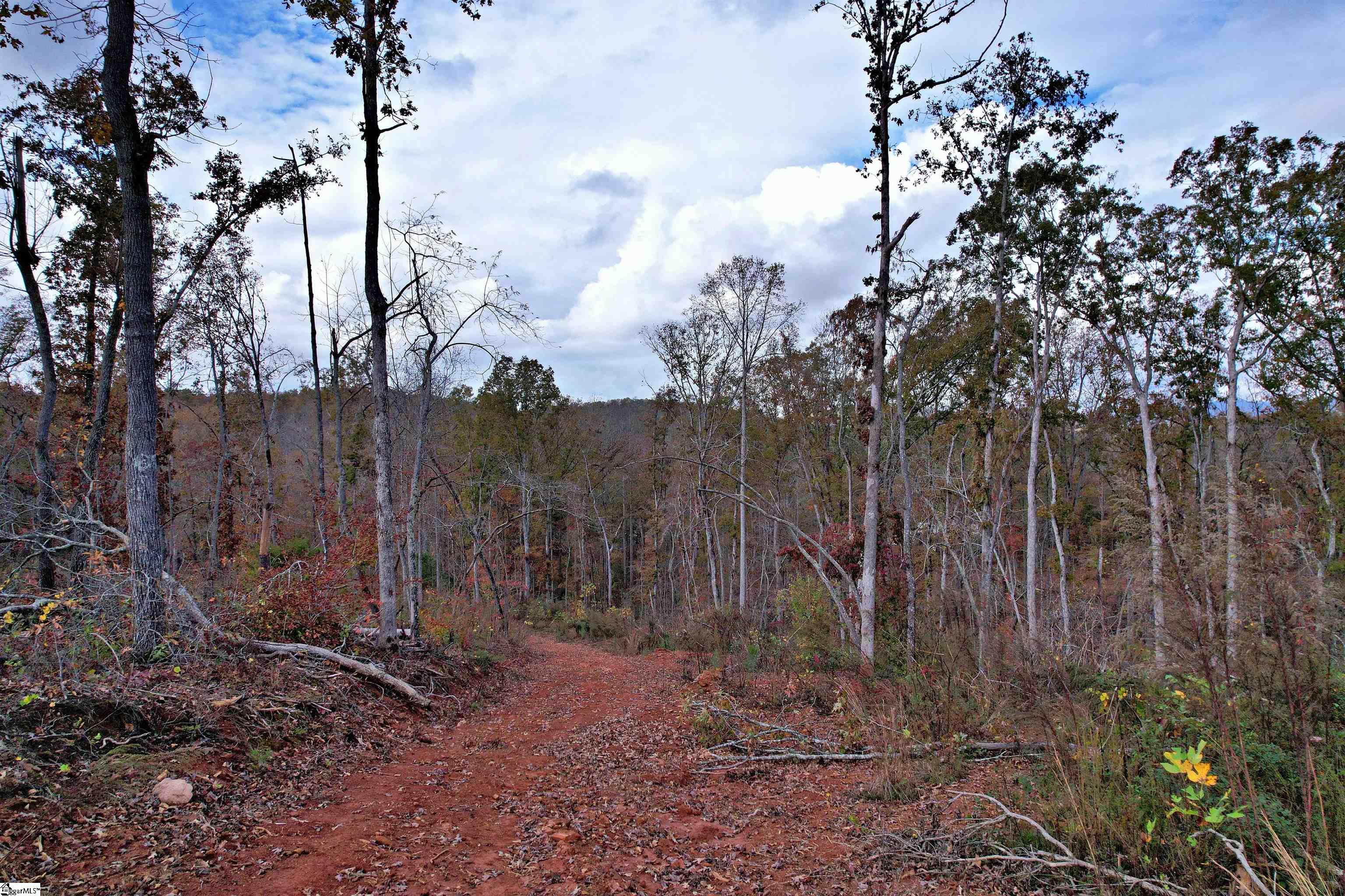 0000 Moorefield Memorial Highway Property Photo 31