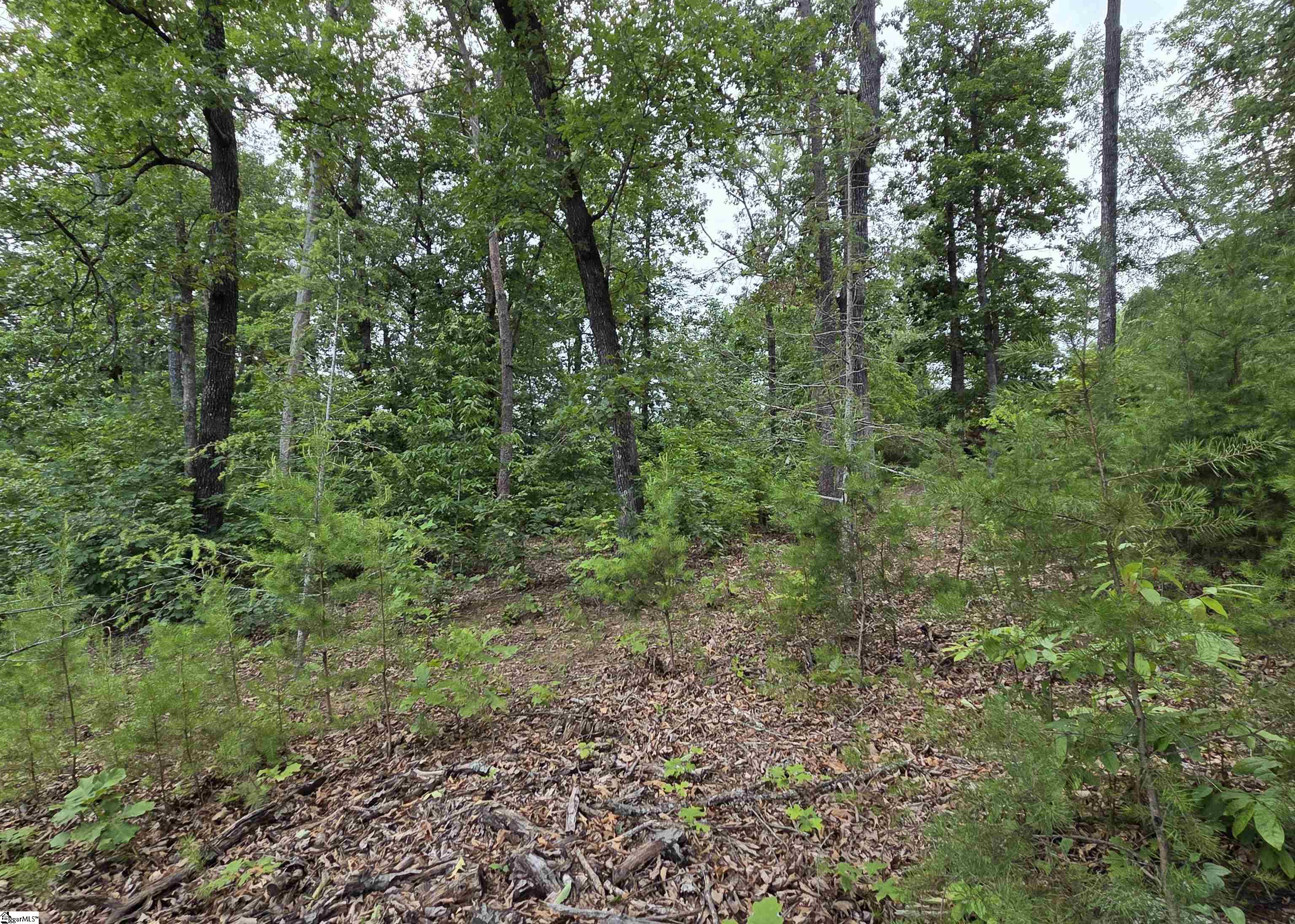 219 Luberon Lane Property Photo 3