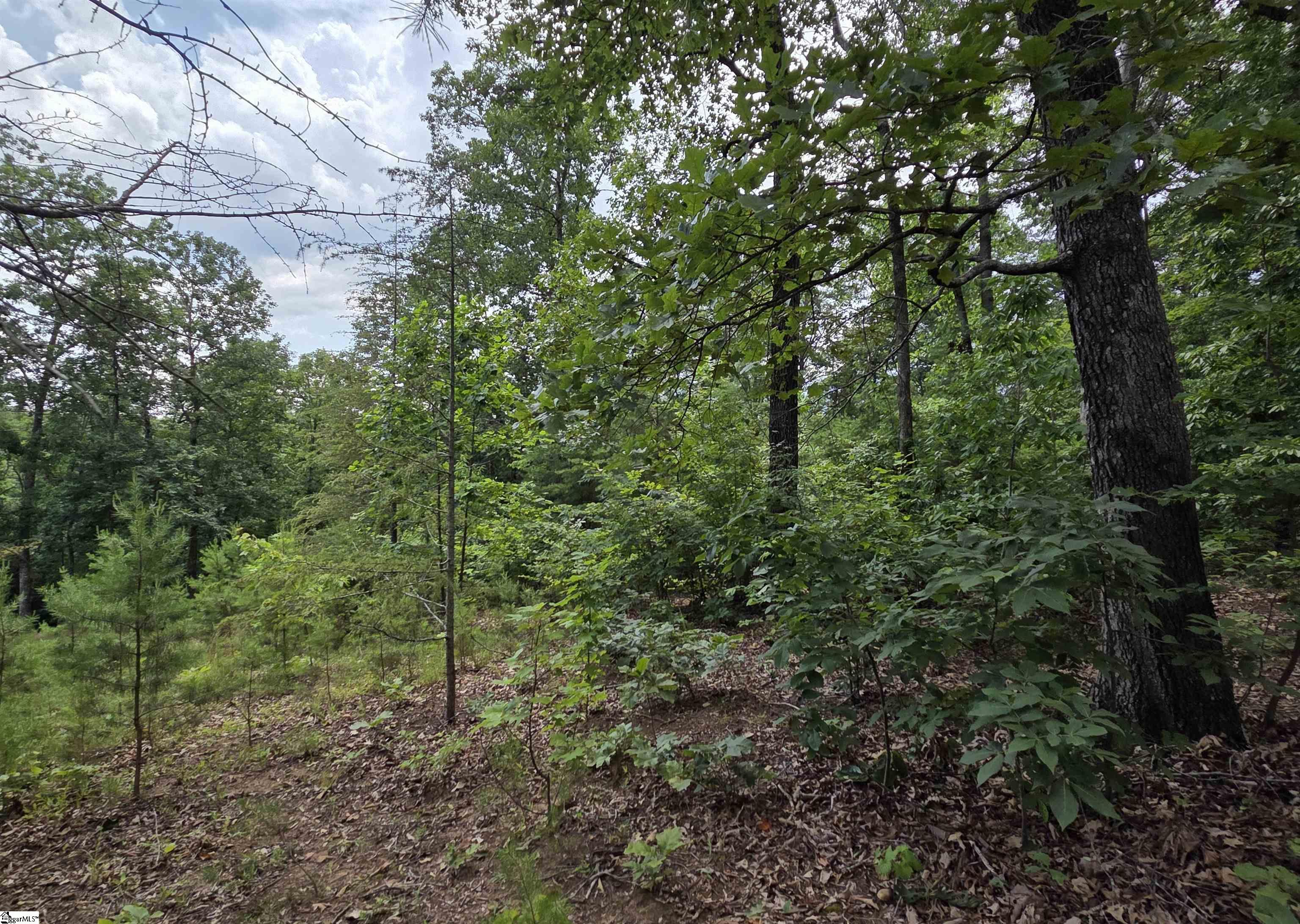 219 Luberon Lane Property Photo 7