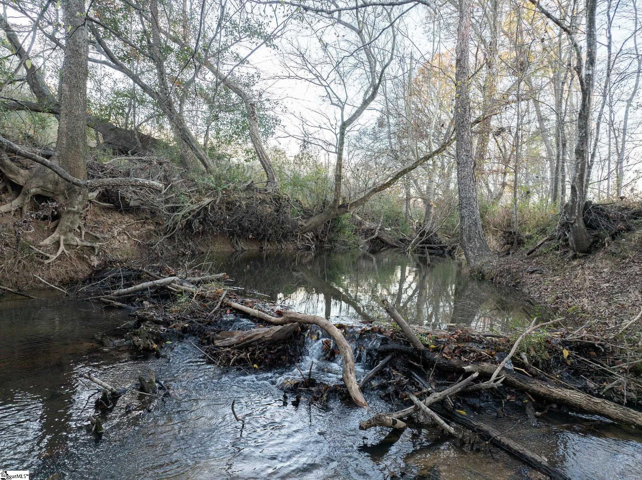00 Milam Road Property Photo 6