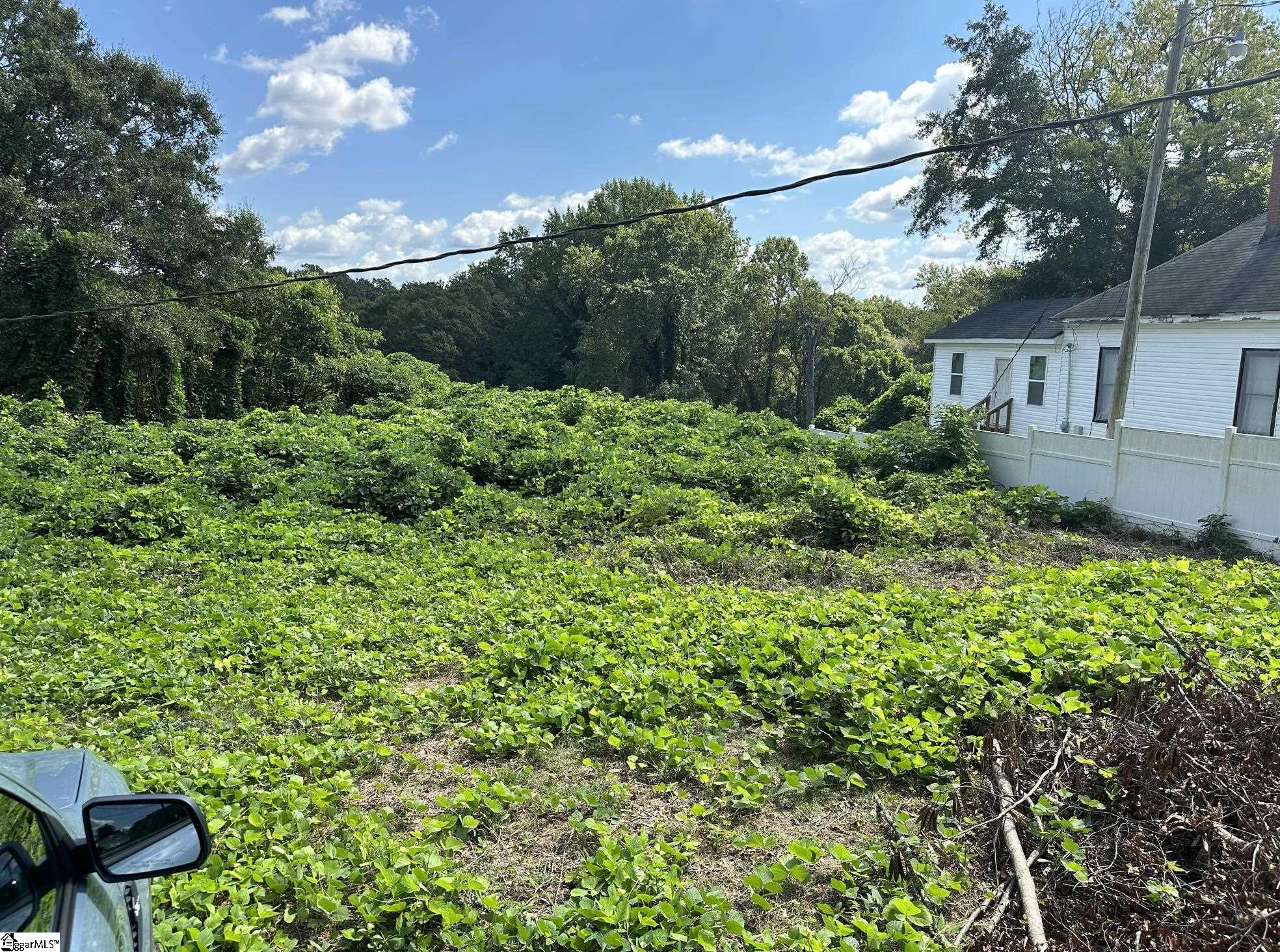 105 Williams Street Property Photo 4