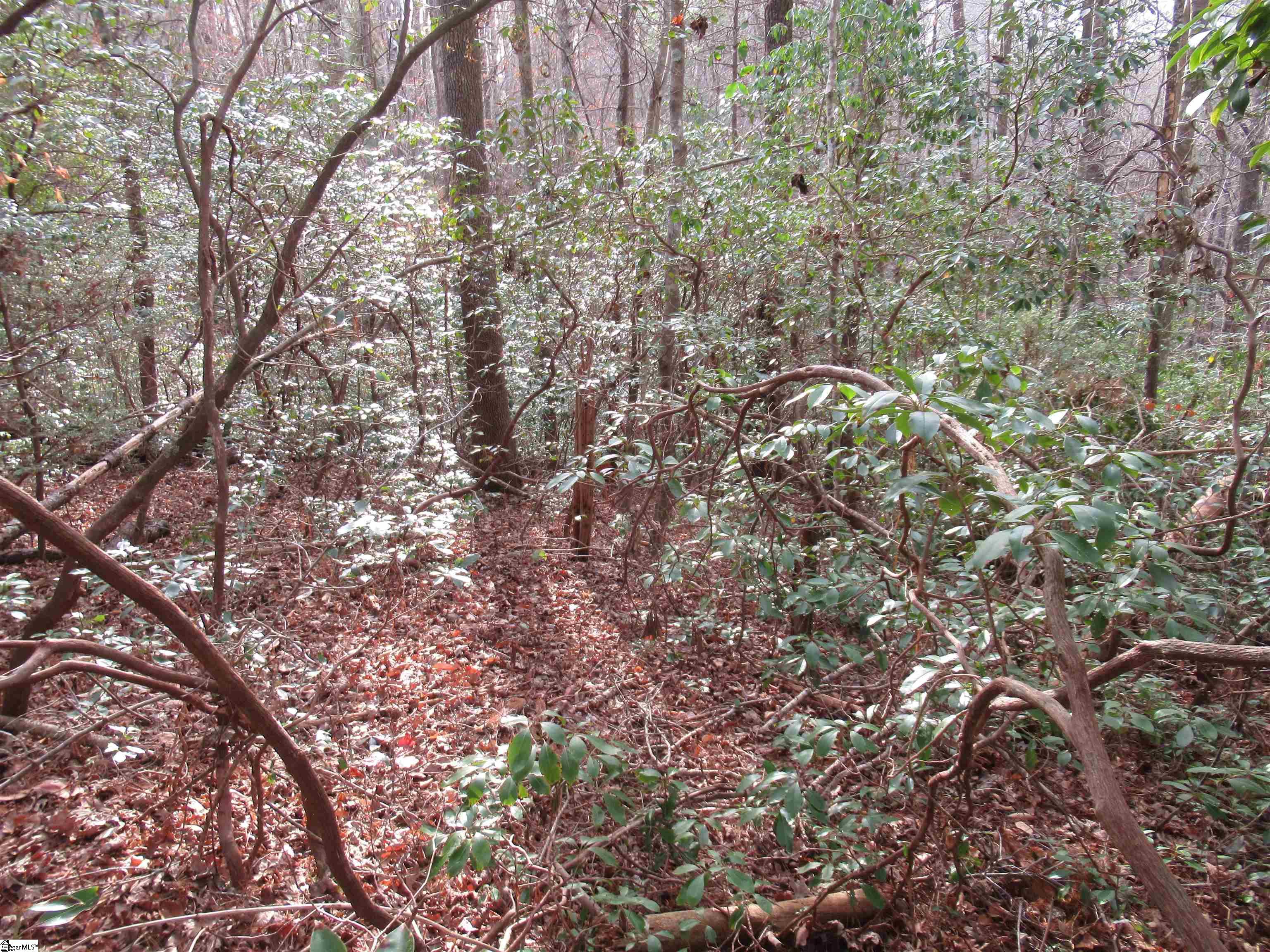 213 Falcon Crest Way Property Photo 7