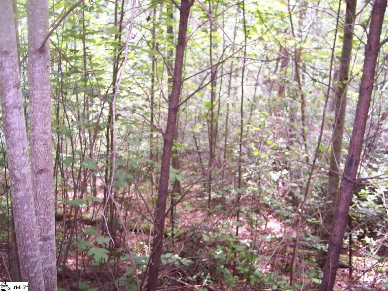 343 Gauley Falls Road Property Photo 2