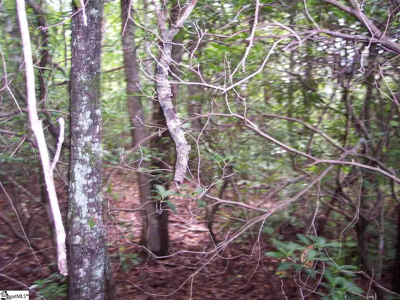 343 Gauley Falls Road Property Photo 3