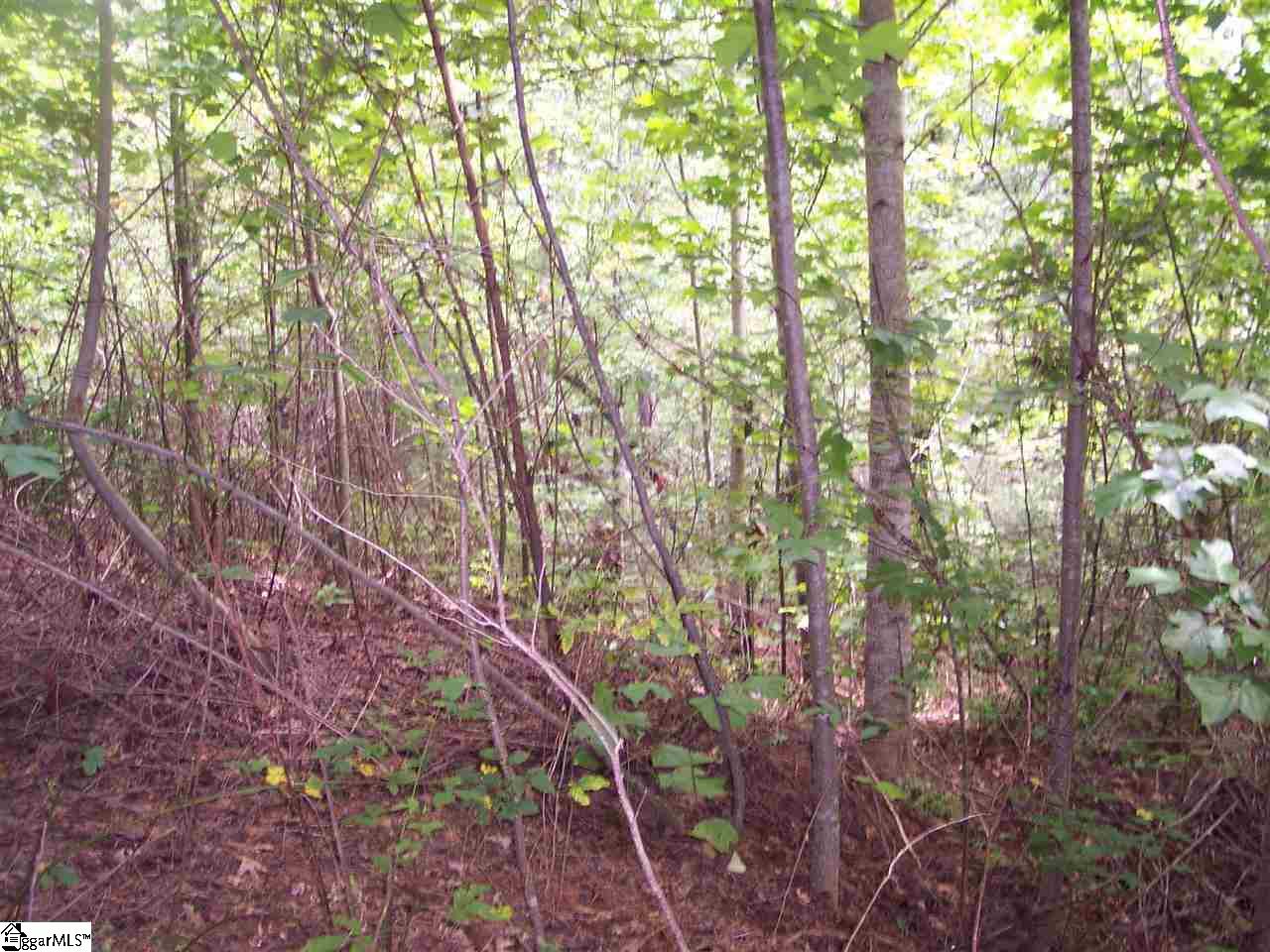 343 Gauley Falls Road Property Photo 4