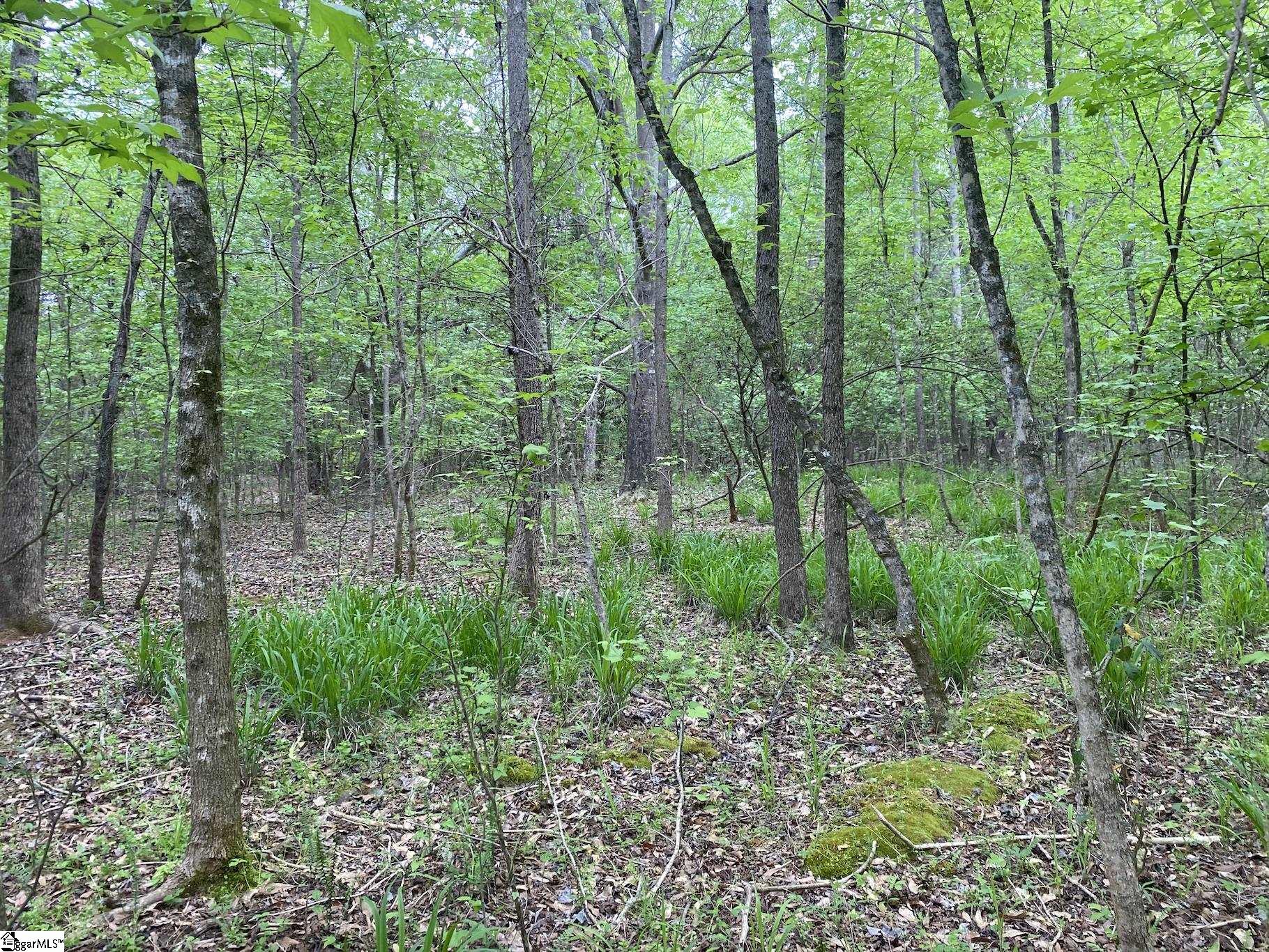 00 Wingo Road Property Photo 4