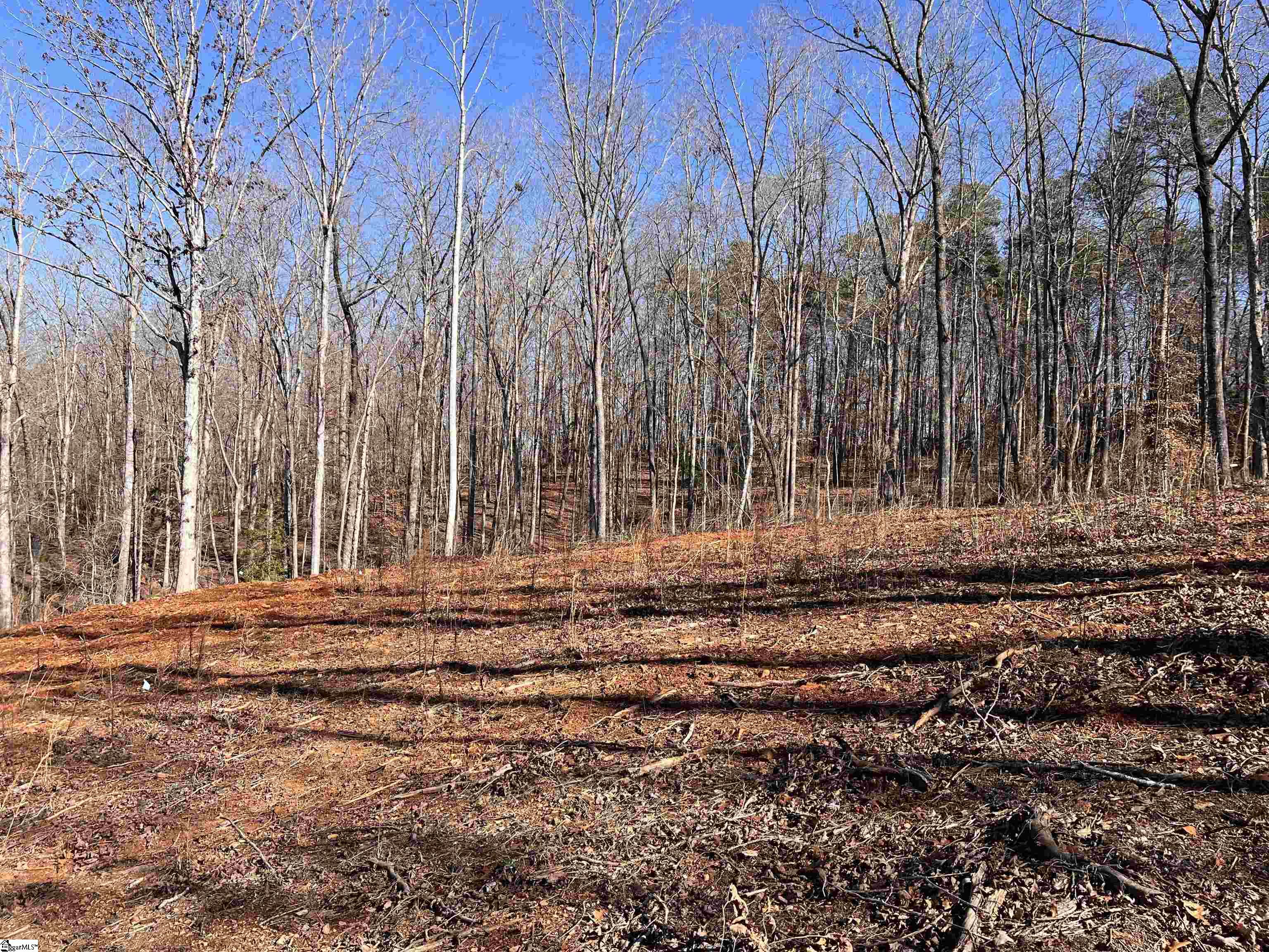 163 Red Hill Road Property Photo 23