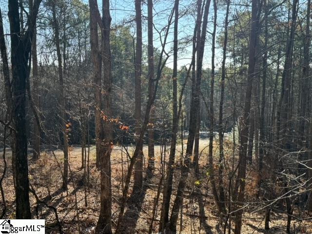Mountain Mint Way Property Photo 4