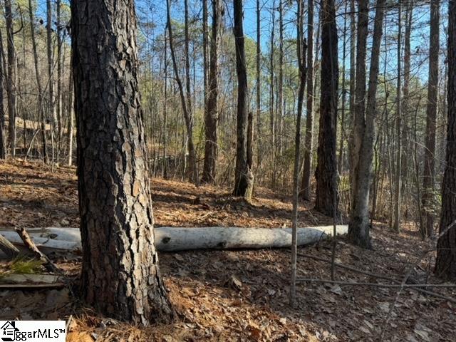 Mountain Mint Way Property Photo 11