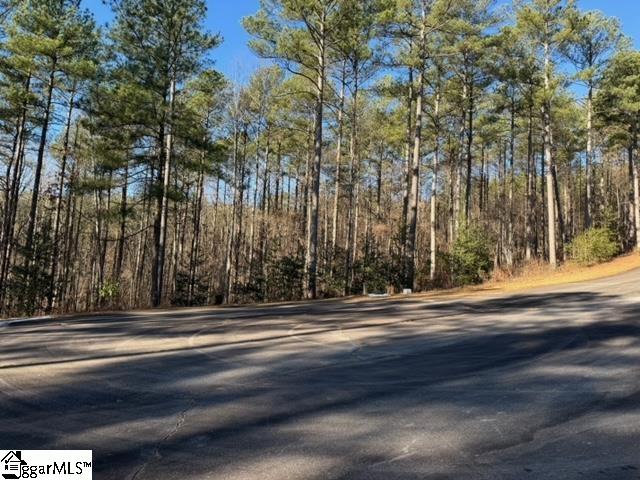 Mountain Mint Way Property Photo 14
