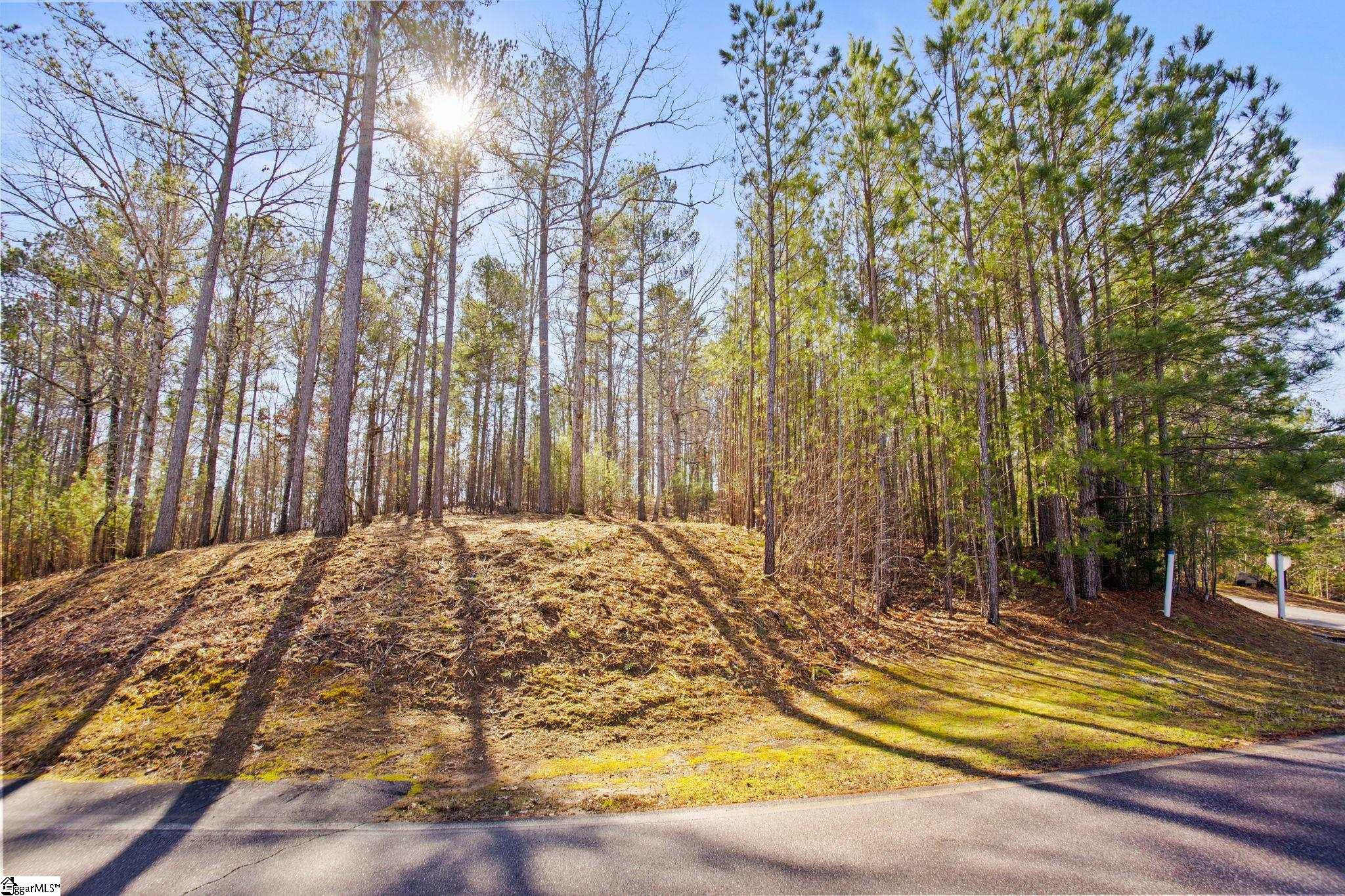 0 Long Cove Trail Property Photo