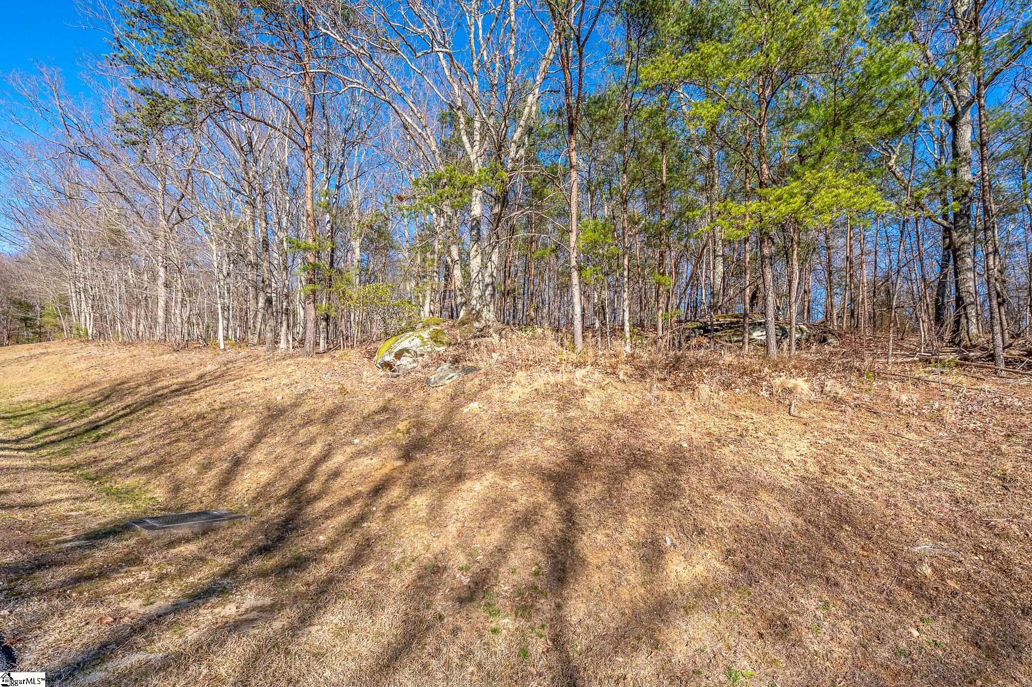 00 Coneflower Trail Property Photo