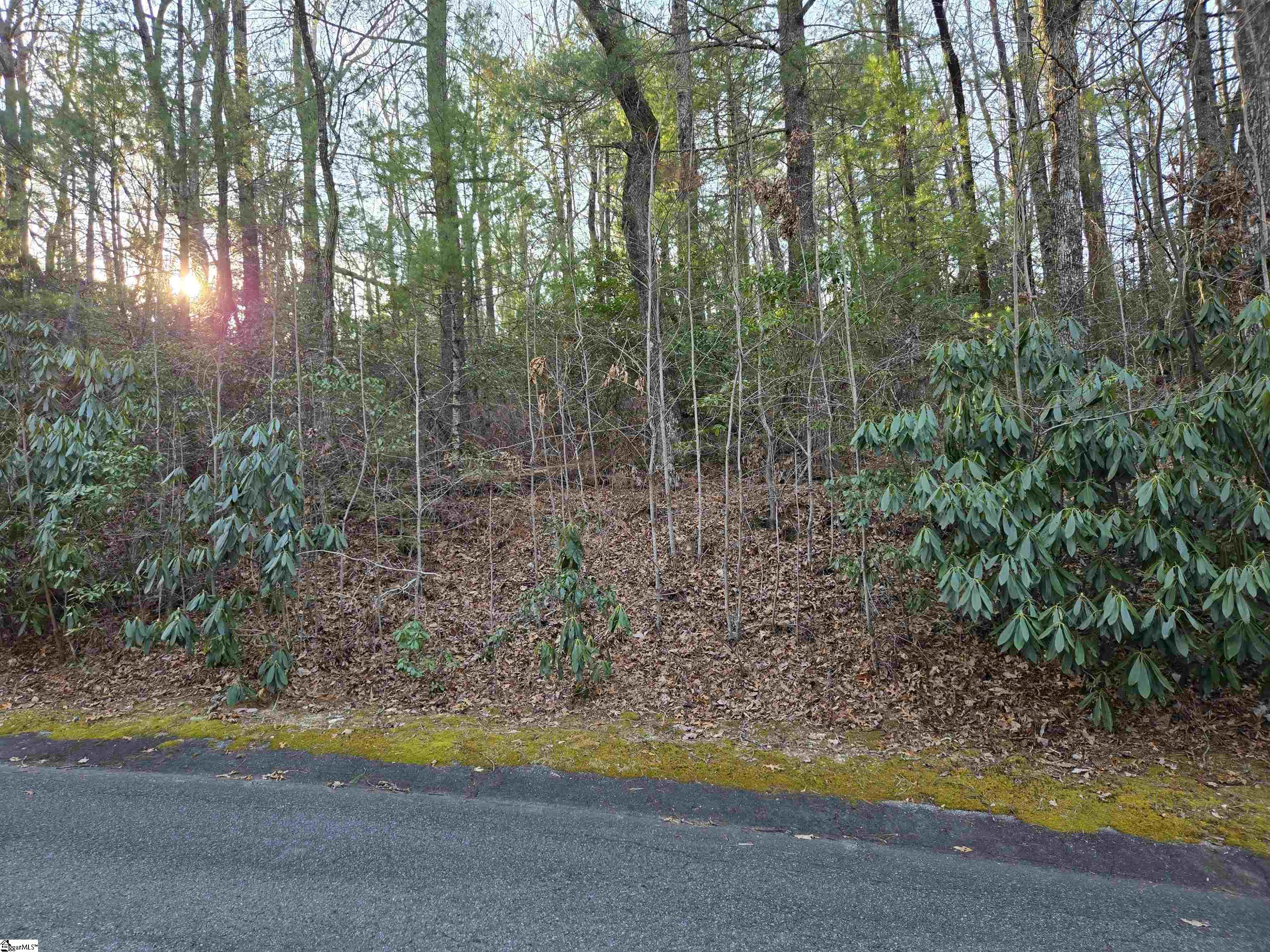 56 Cliff Ridge Drive Property Photo