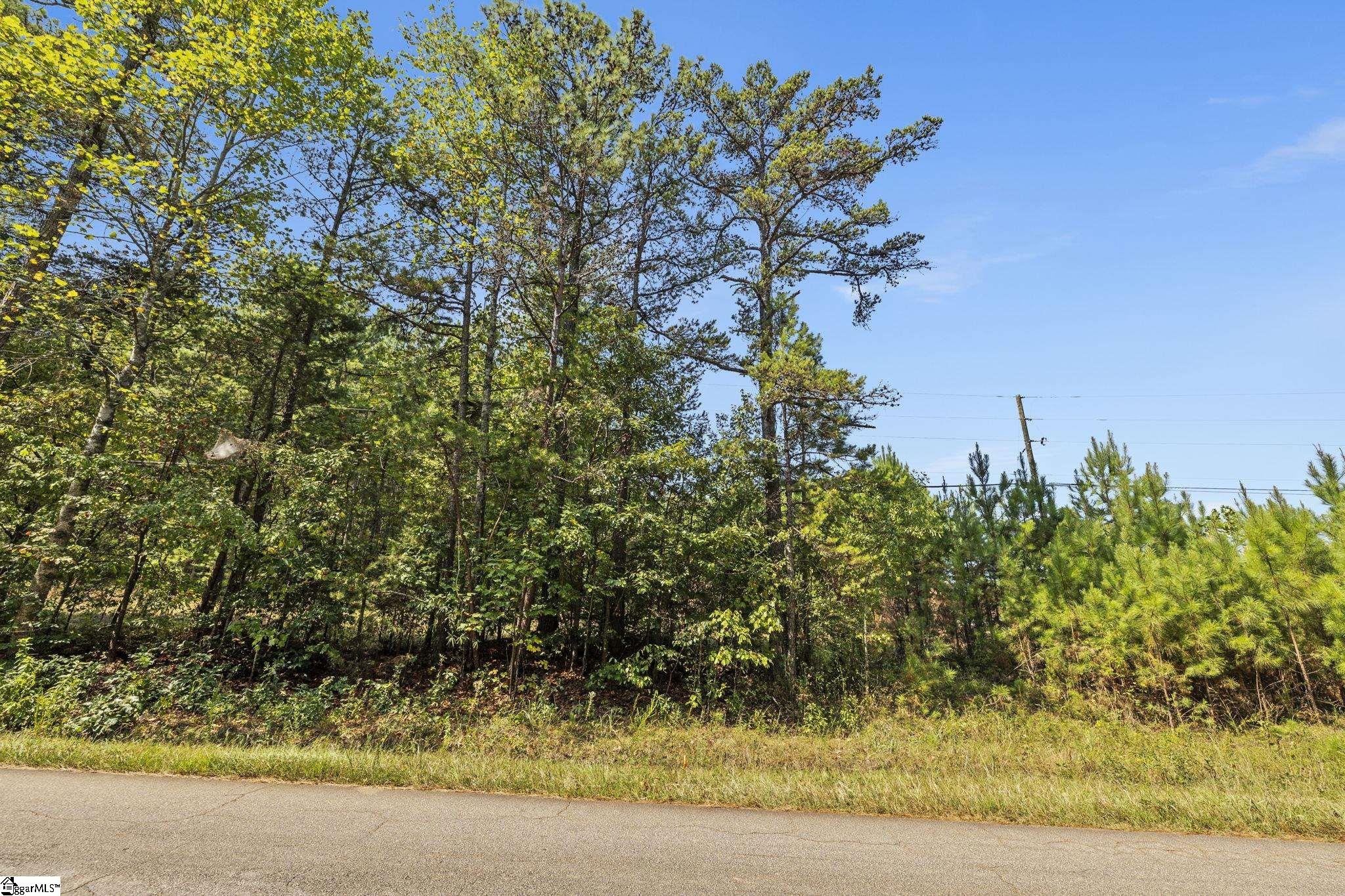 0 Martin School Road Property Photo