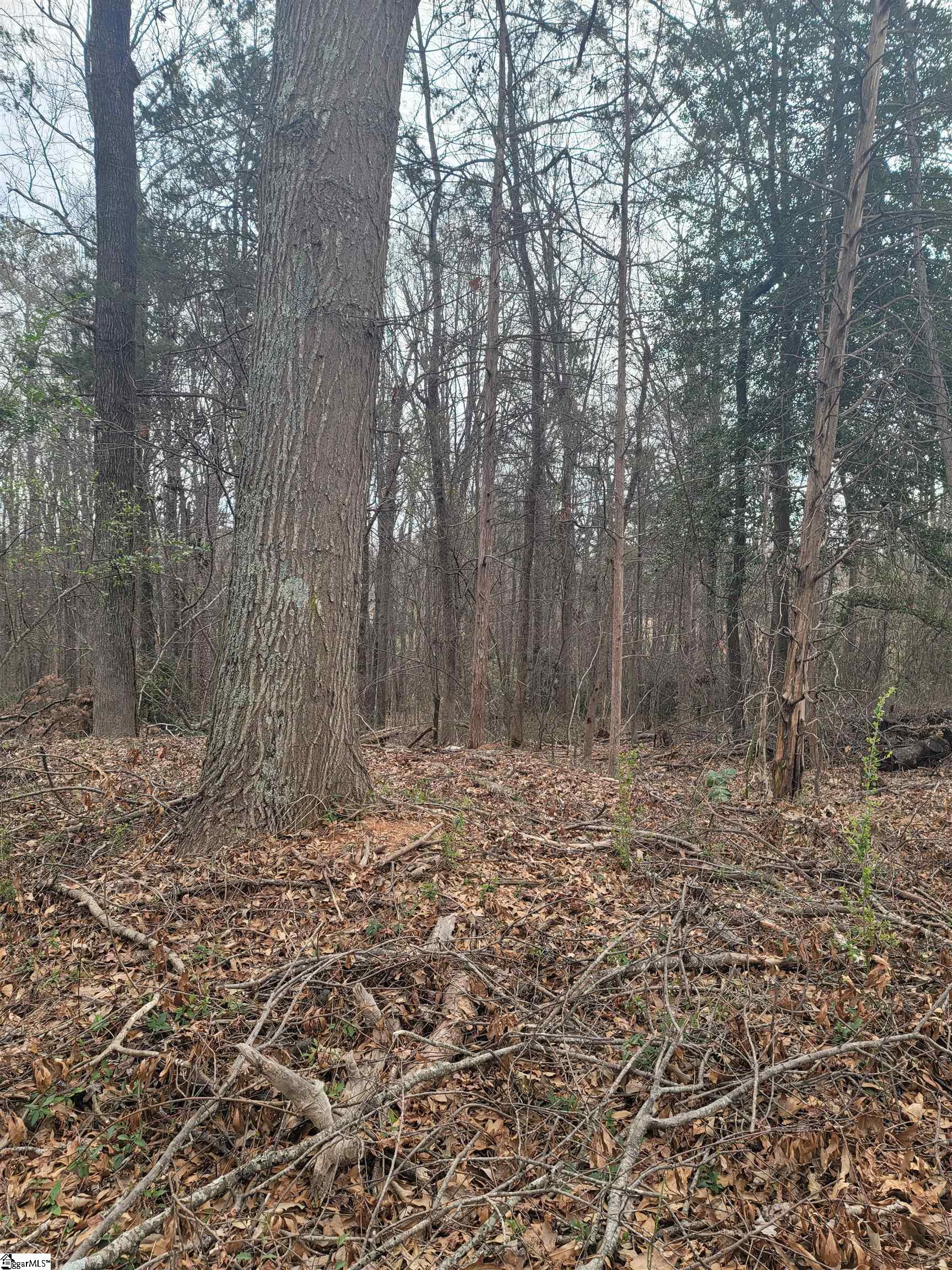 Thompson Road Property Photo