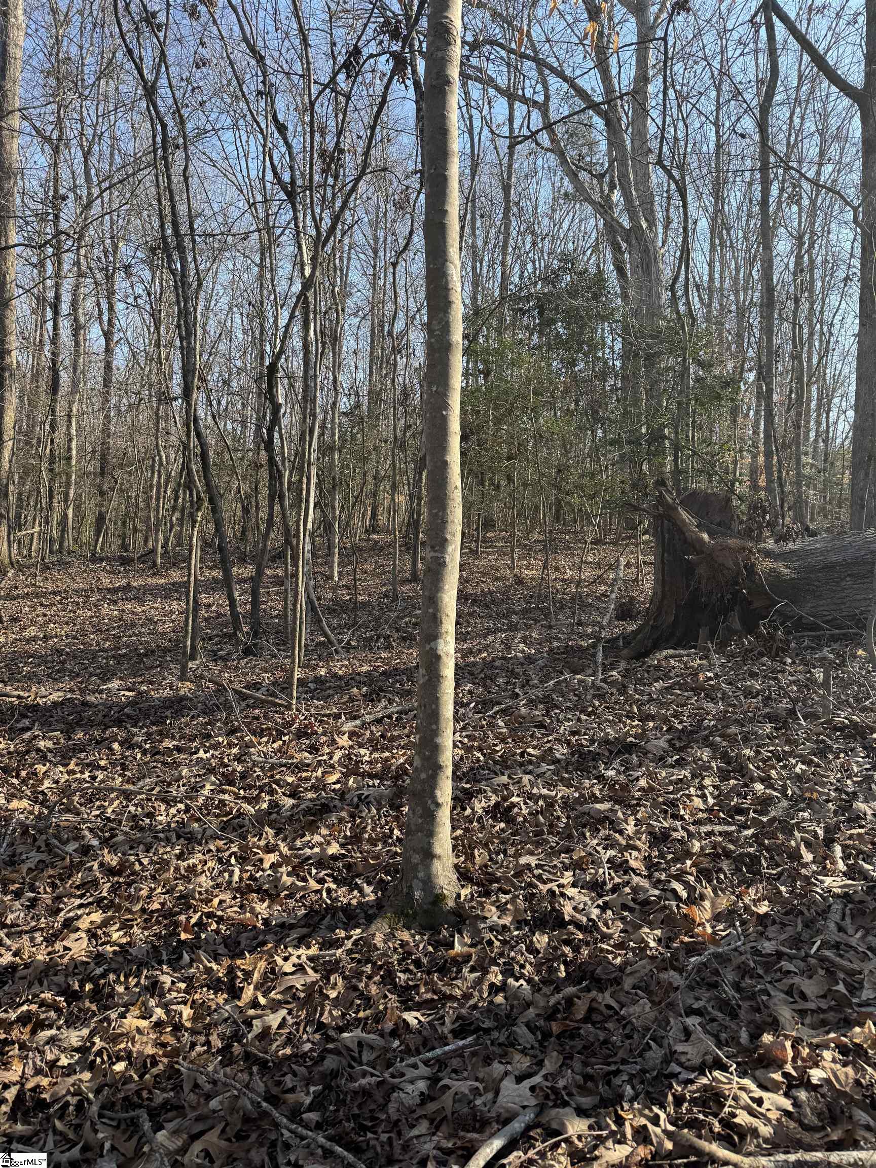 00 Secession Road Property Photo