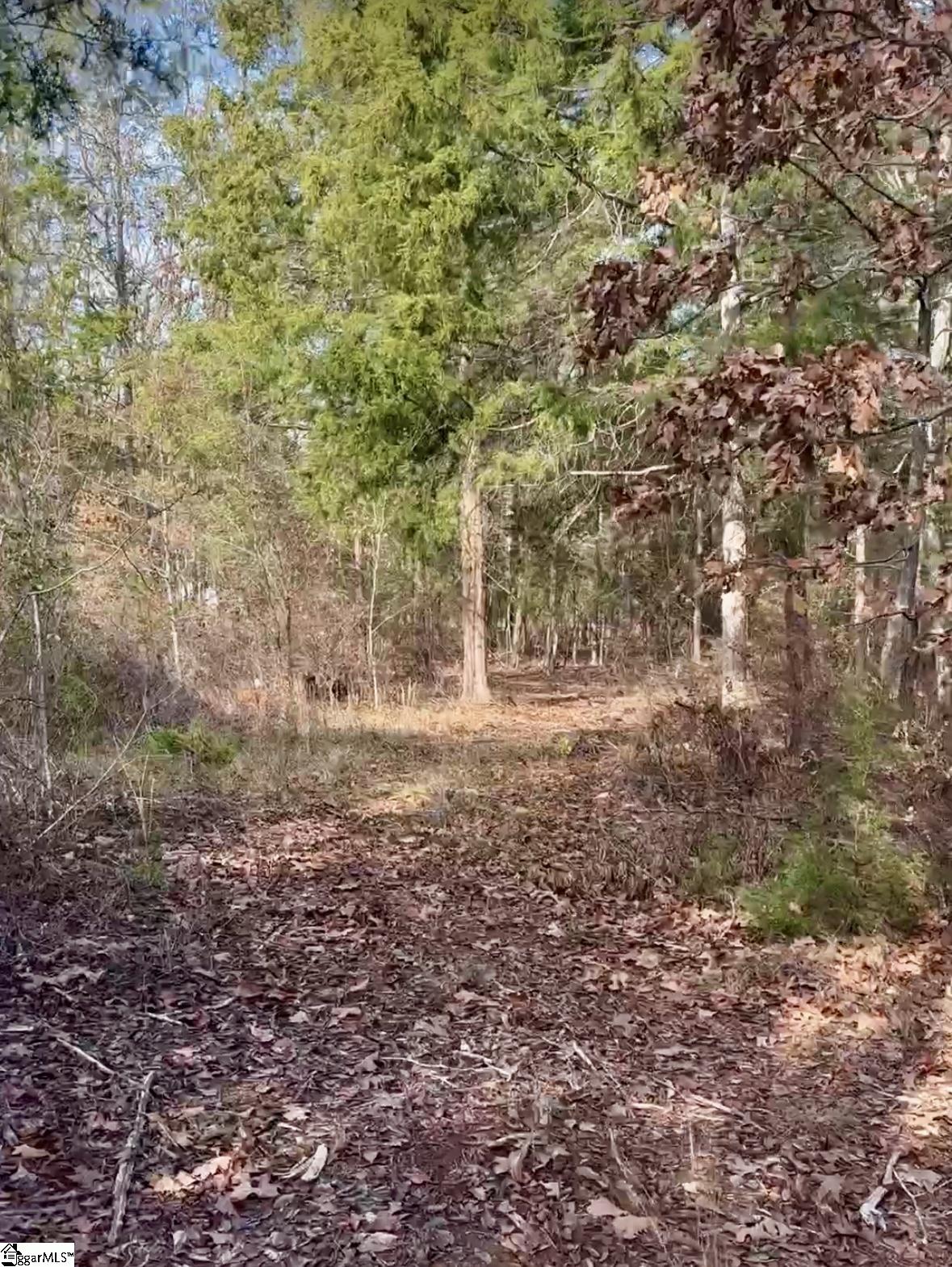 00 Mount Lebanon Road Property Photo