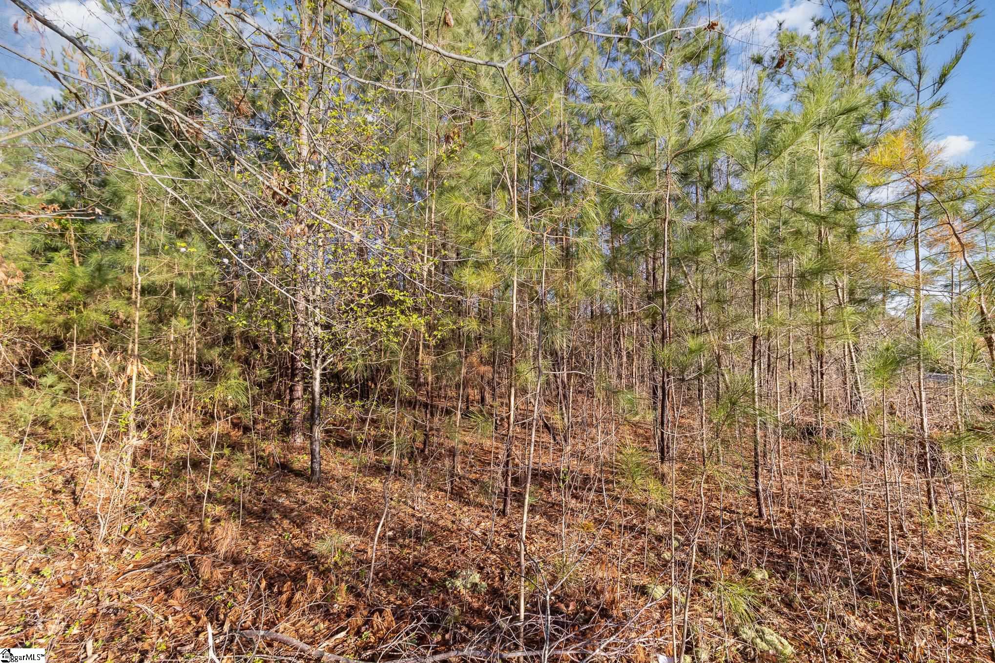3920 Moore Duncan Highway Property Photo 9