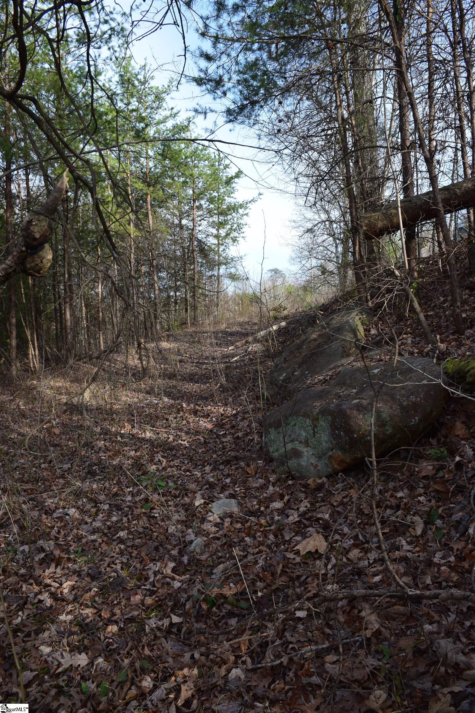 1125 Walhalla Highway Property Photo