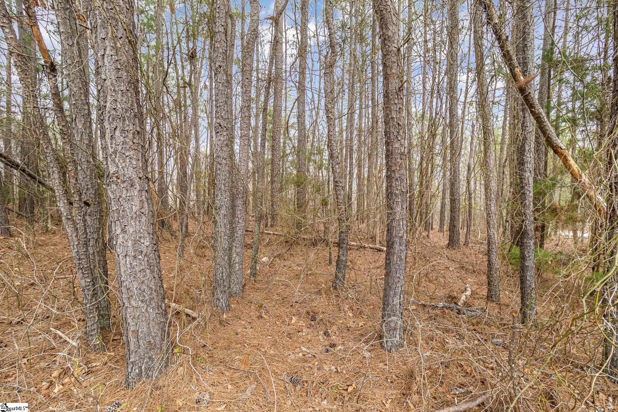 00 Lakeview Drive Property Photo 1