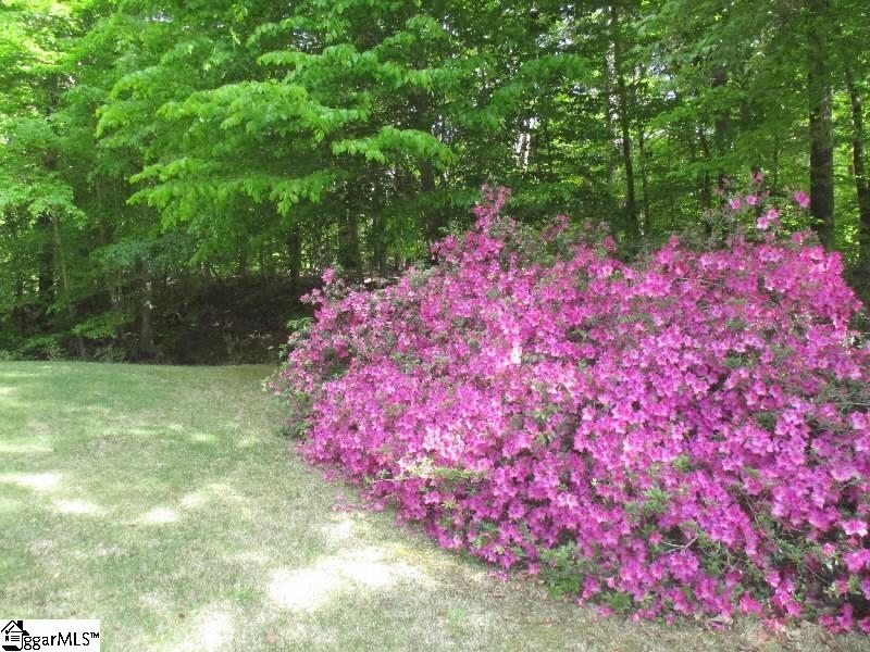1 Parkview Court Property Photo 19