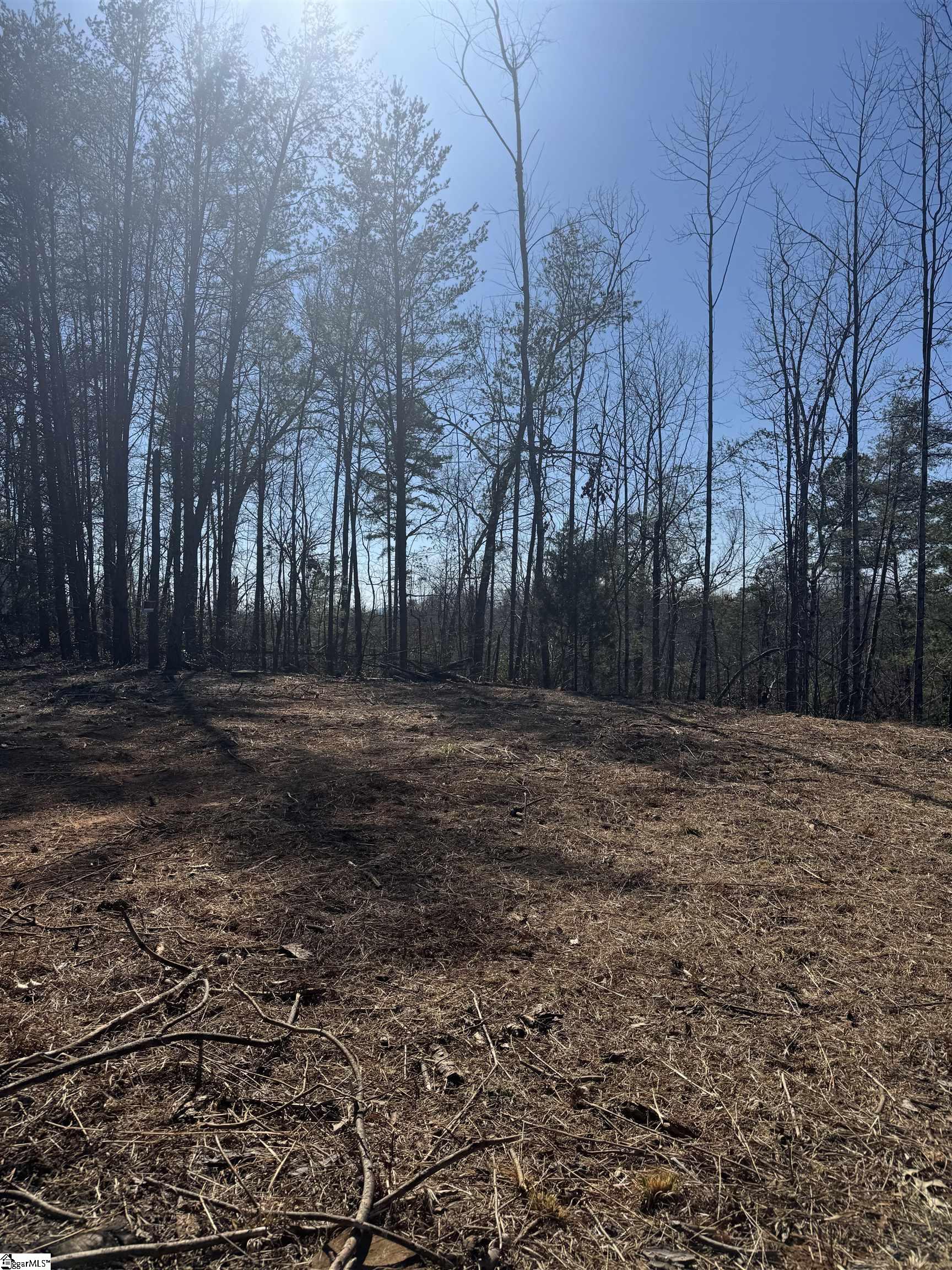 19 Sawblade Ridge Property Photo