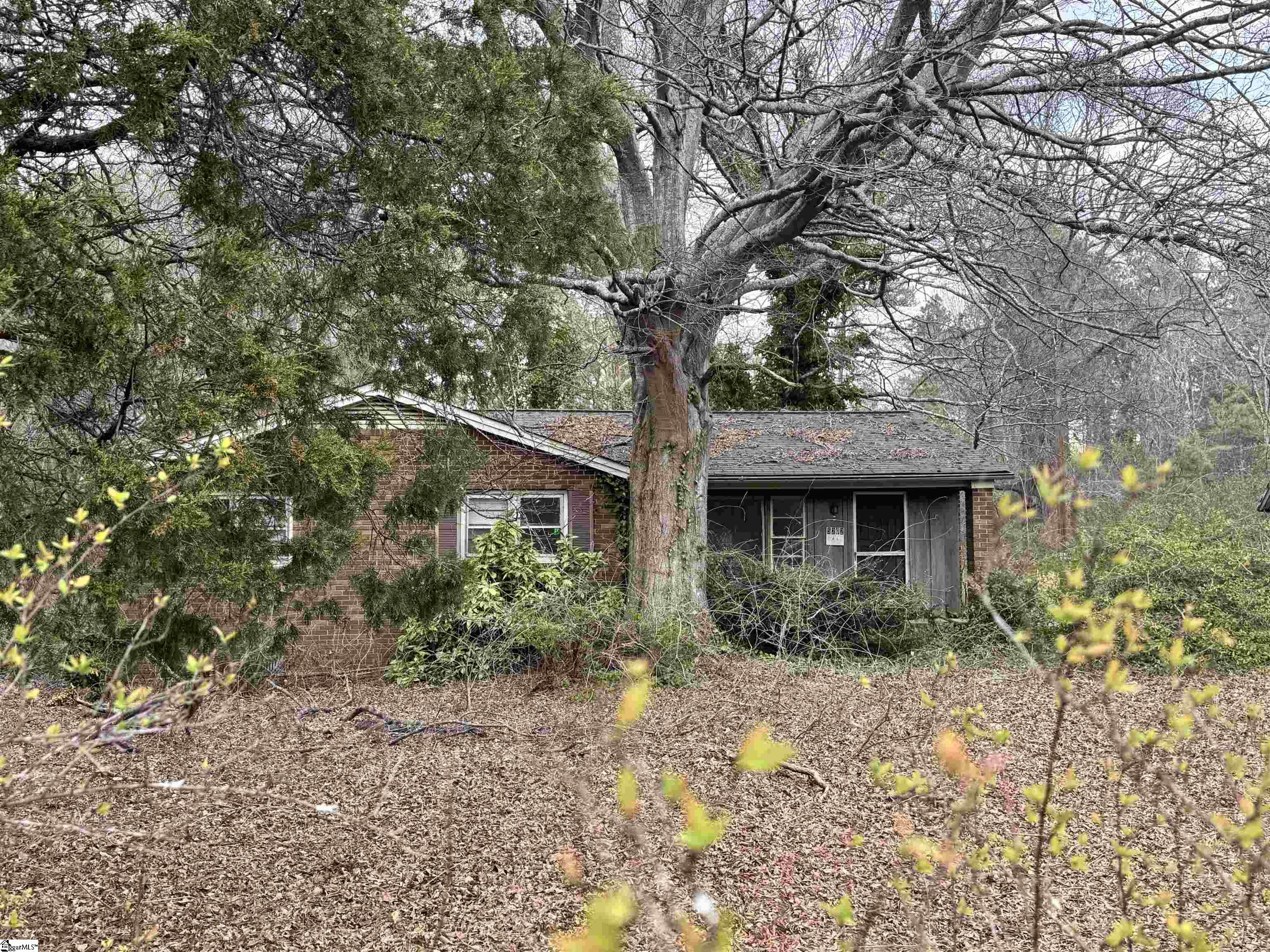5202 Highway 86 Property Photo 1