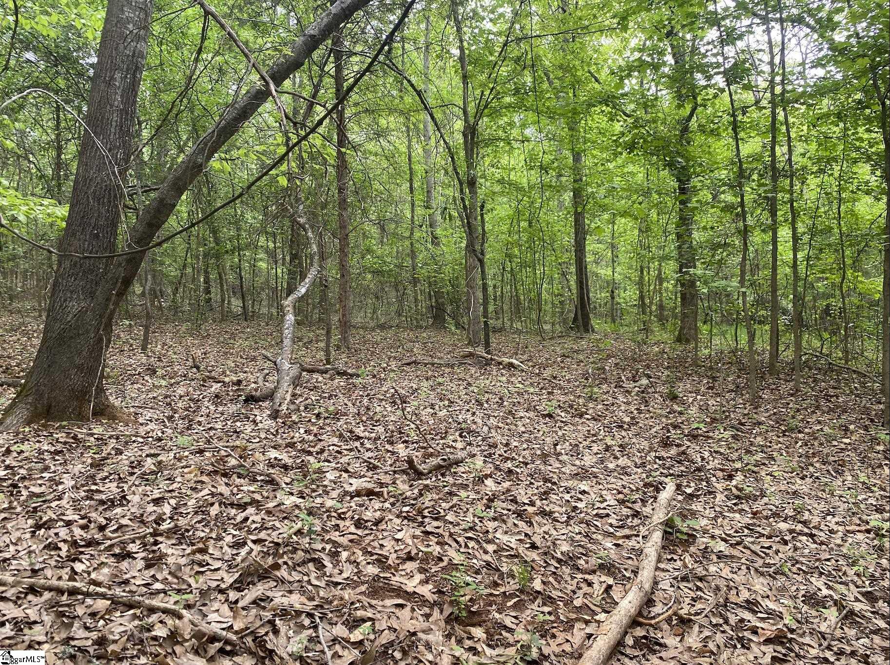 0 Wingo Road Property Photo 2