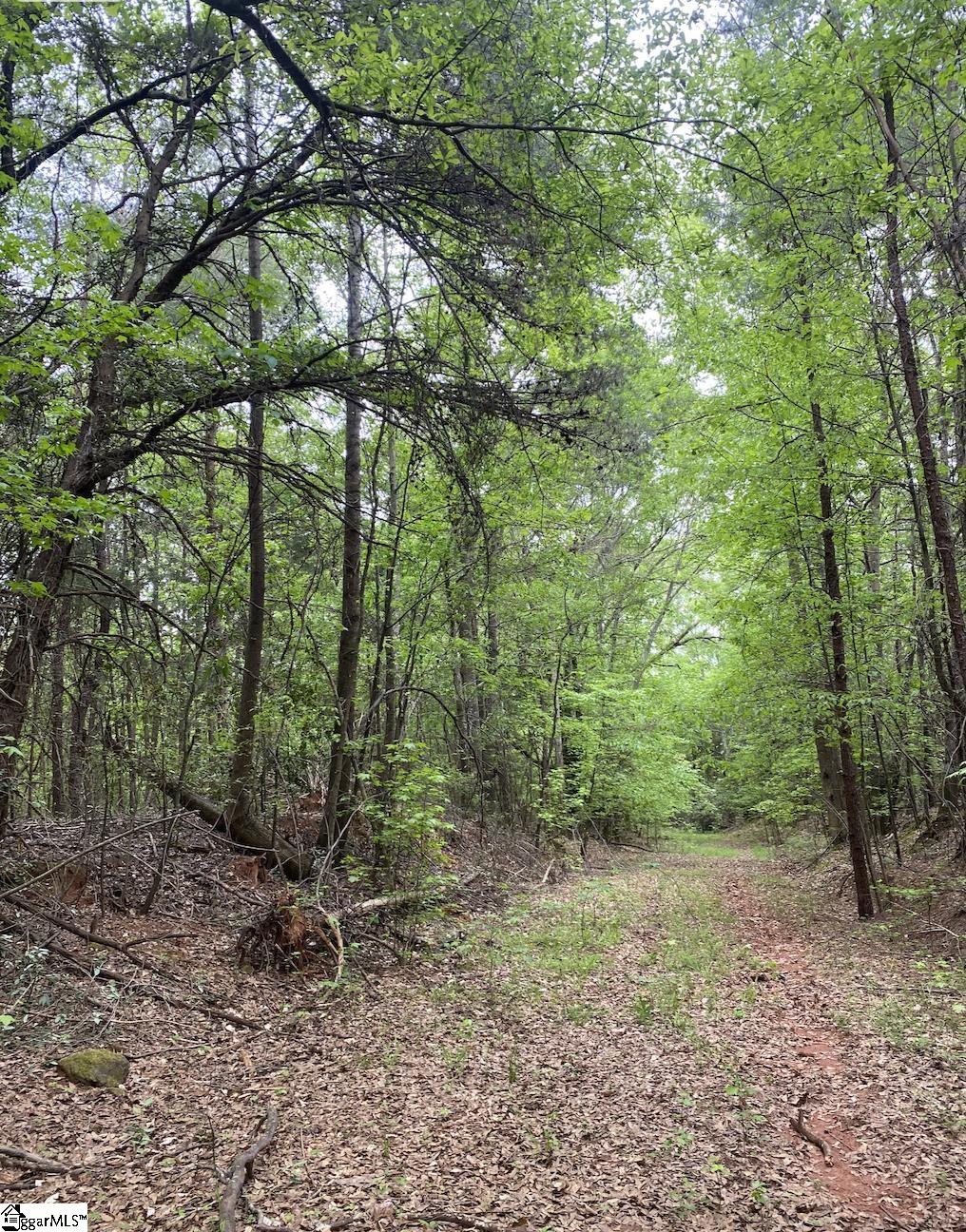 0 Wingo Road Property Photo 3