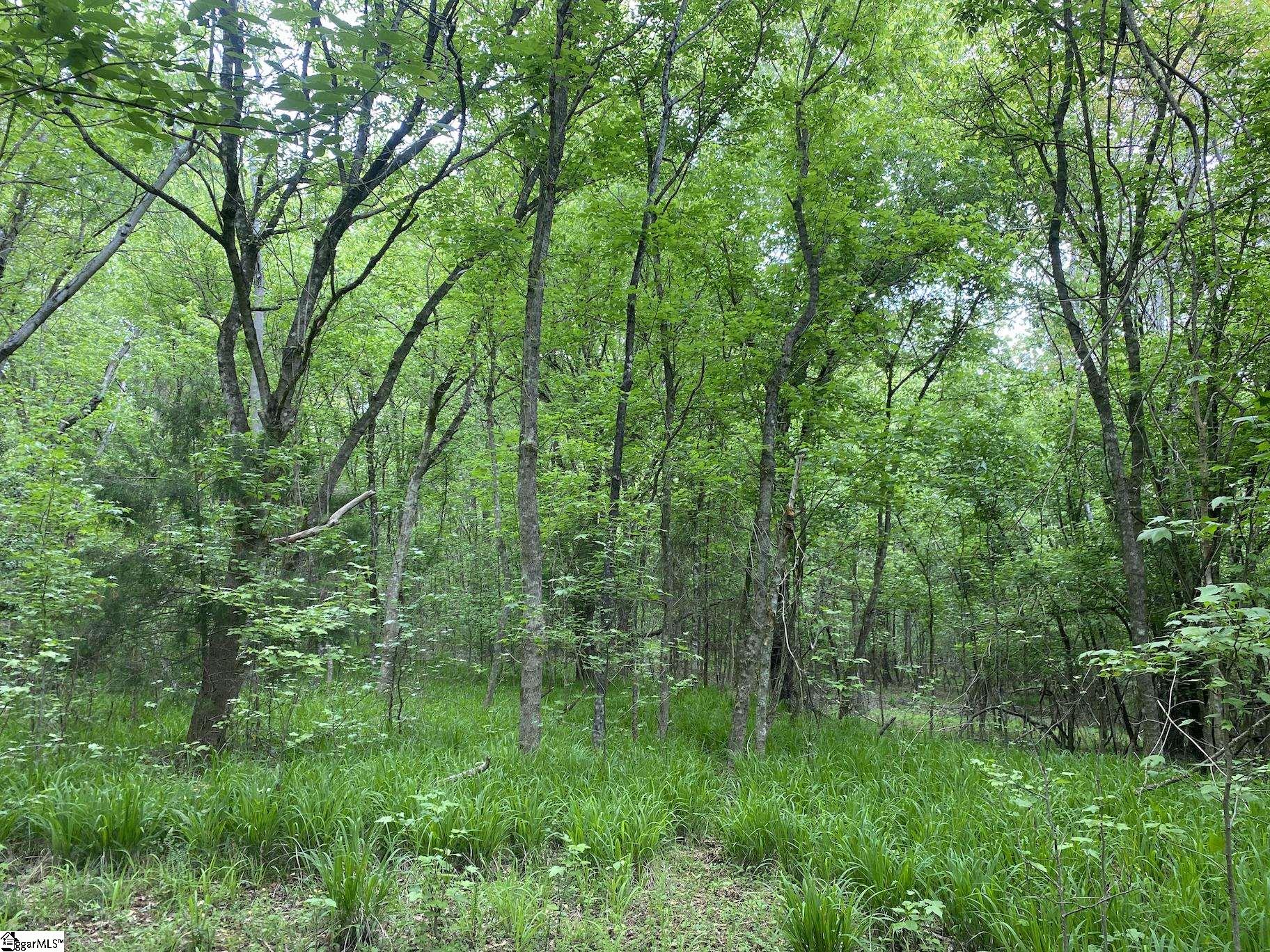 0 Wingo Road Property Photo 4