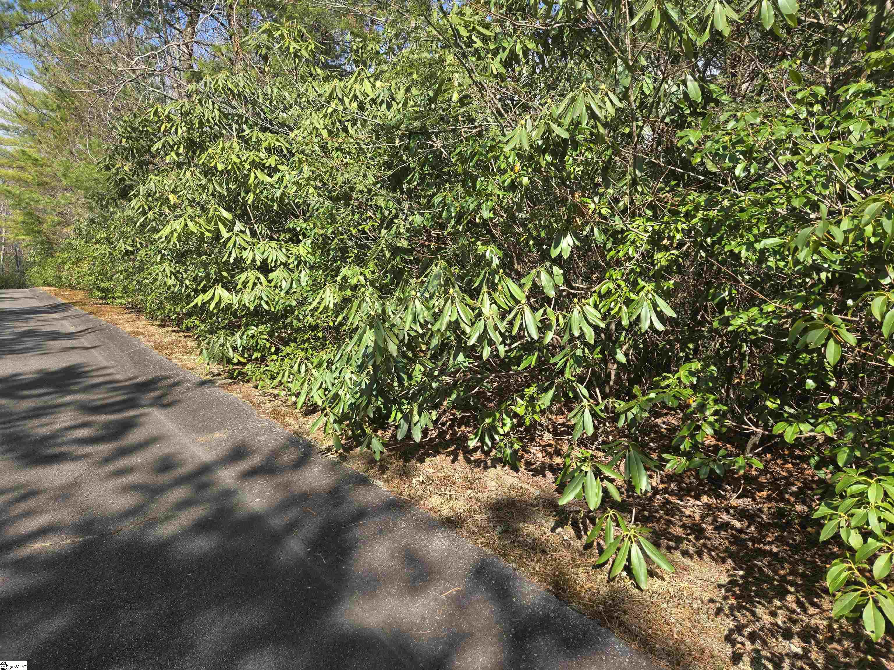 17 Cliff Ridge Drive Property Photo 1