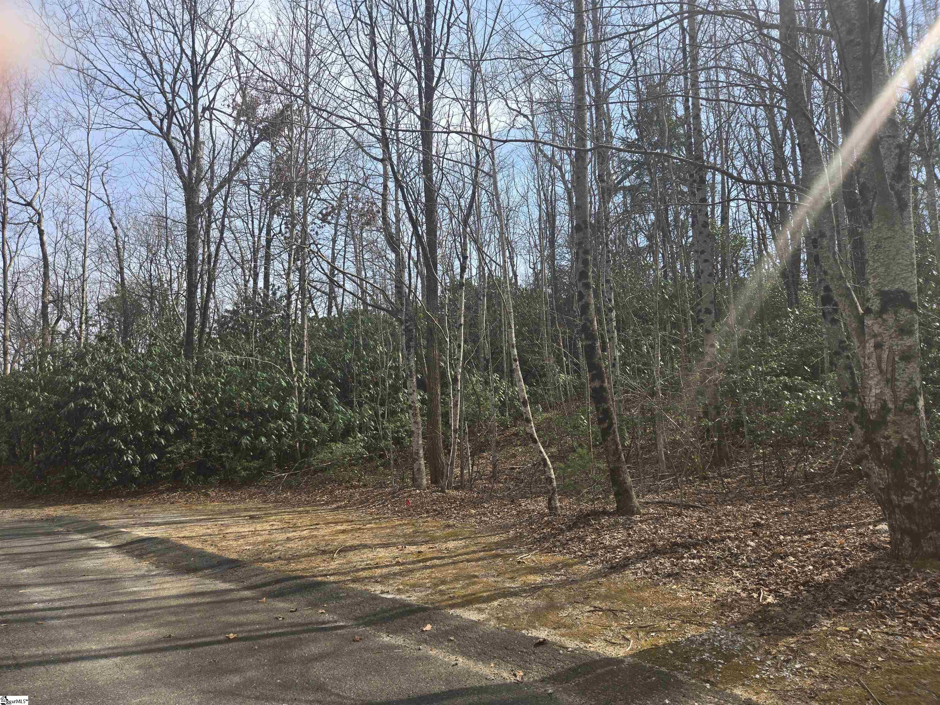68 Conifer Falls Road Property Photo 1