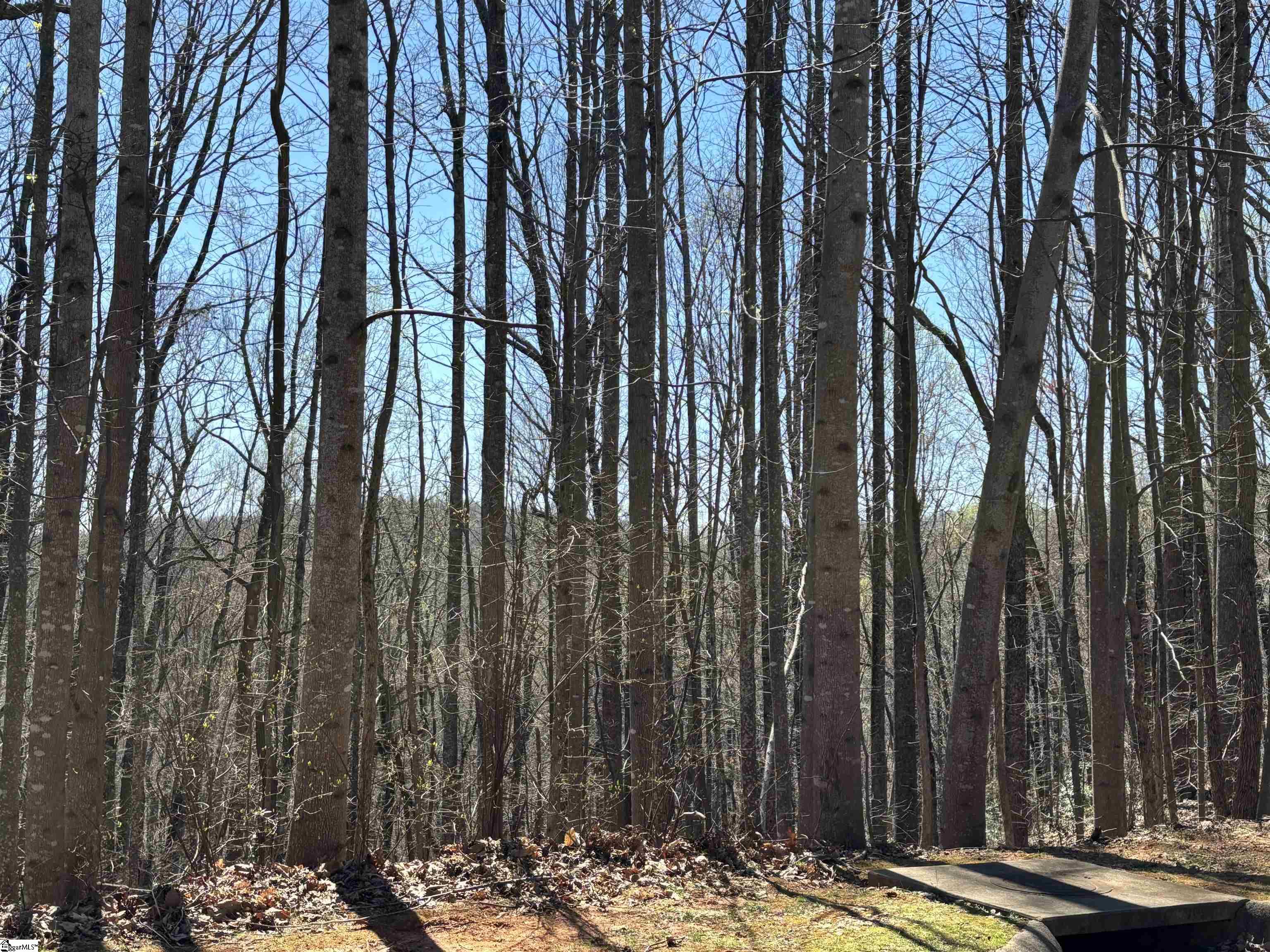 317 Laurel Valley Way Property Photo