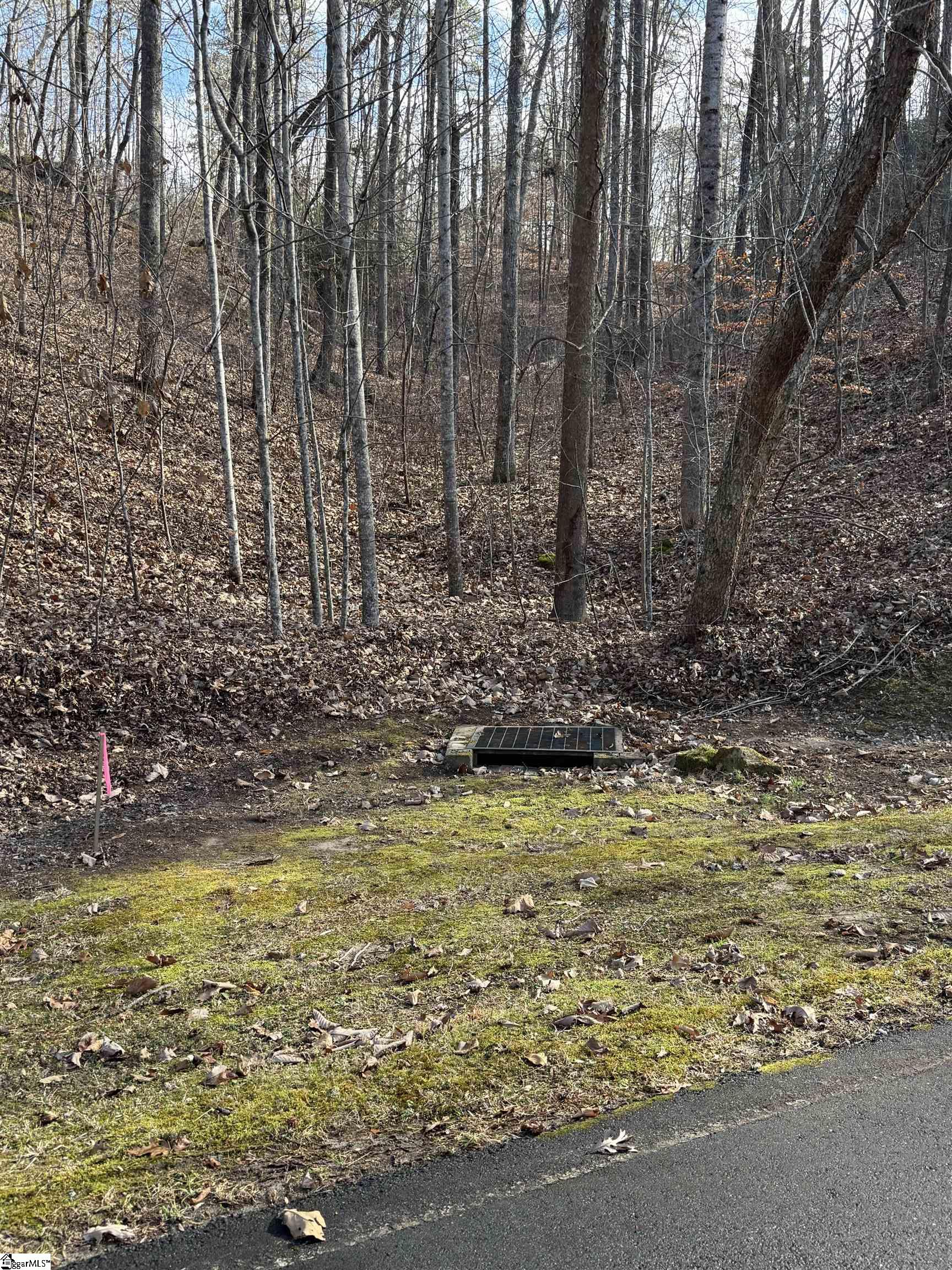 Links Ledge Property Photo 4