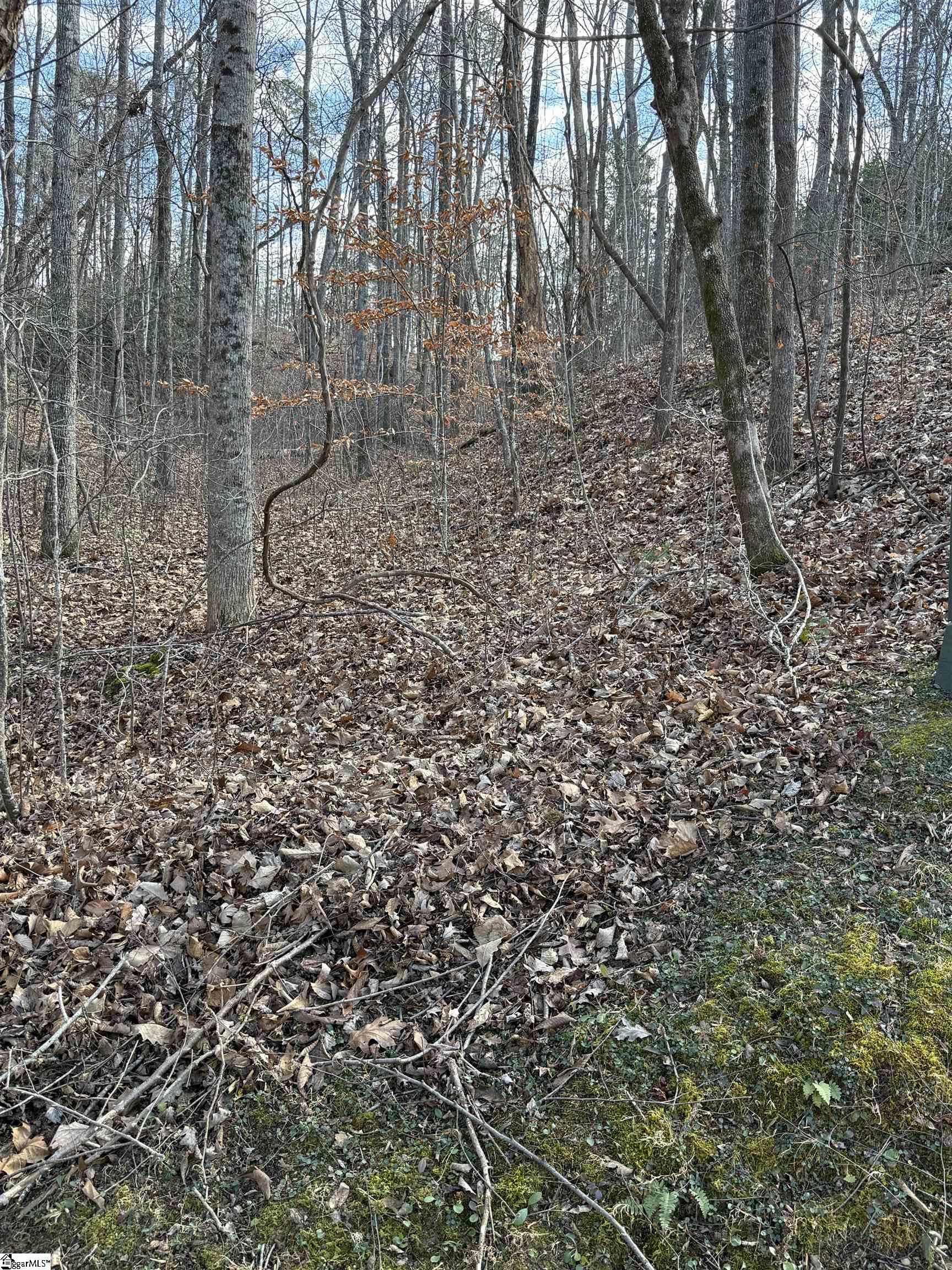 Links Ledge Property Photo 5