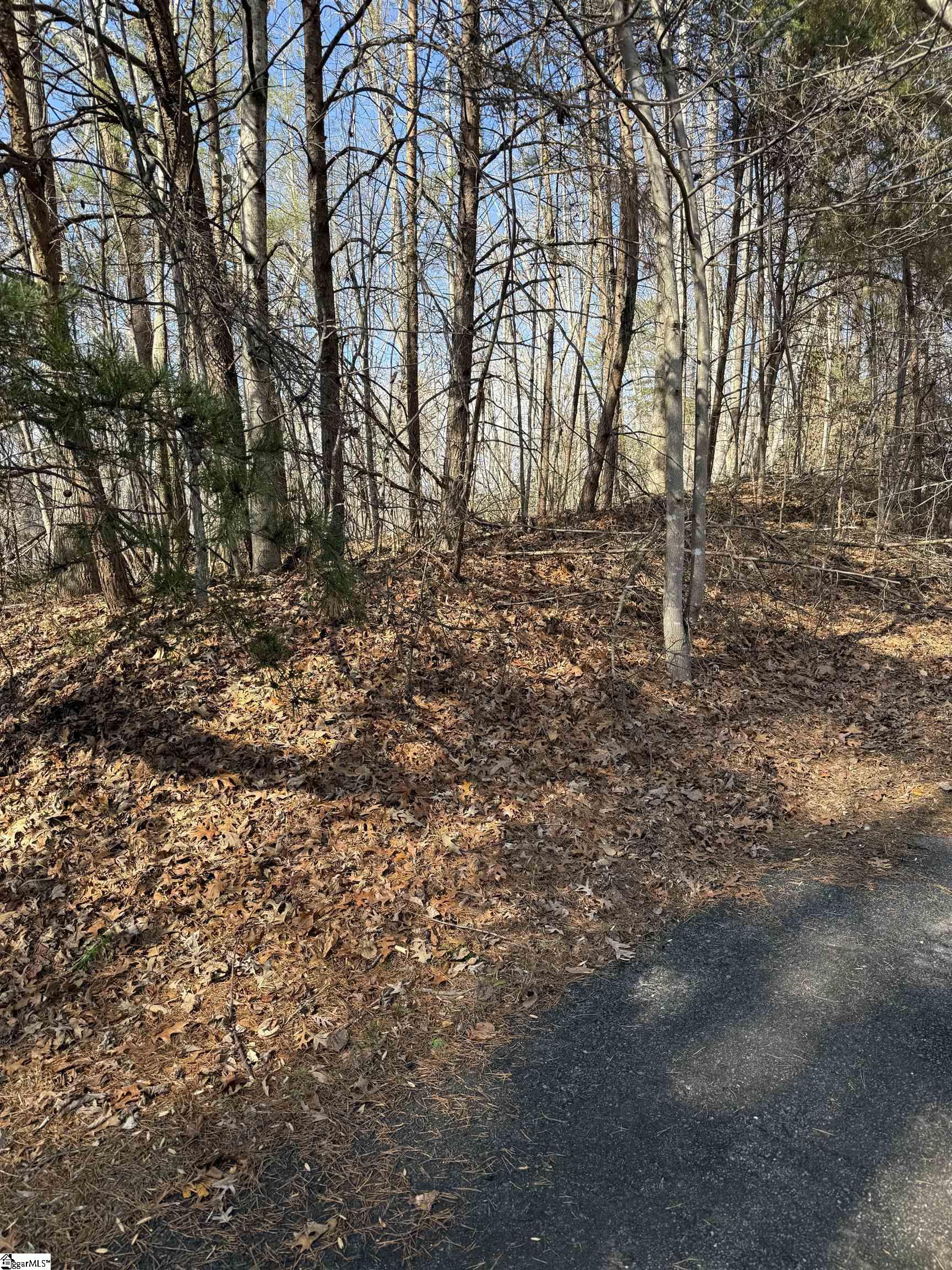 Links Ledge Property Photo 10