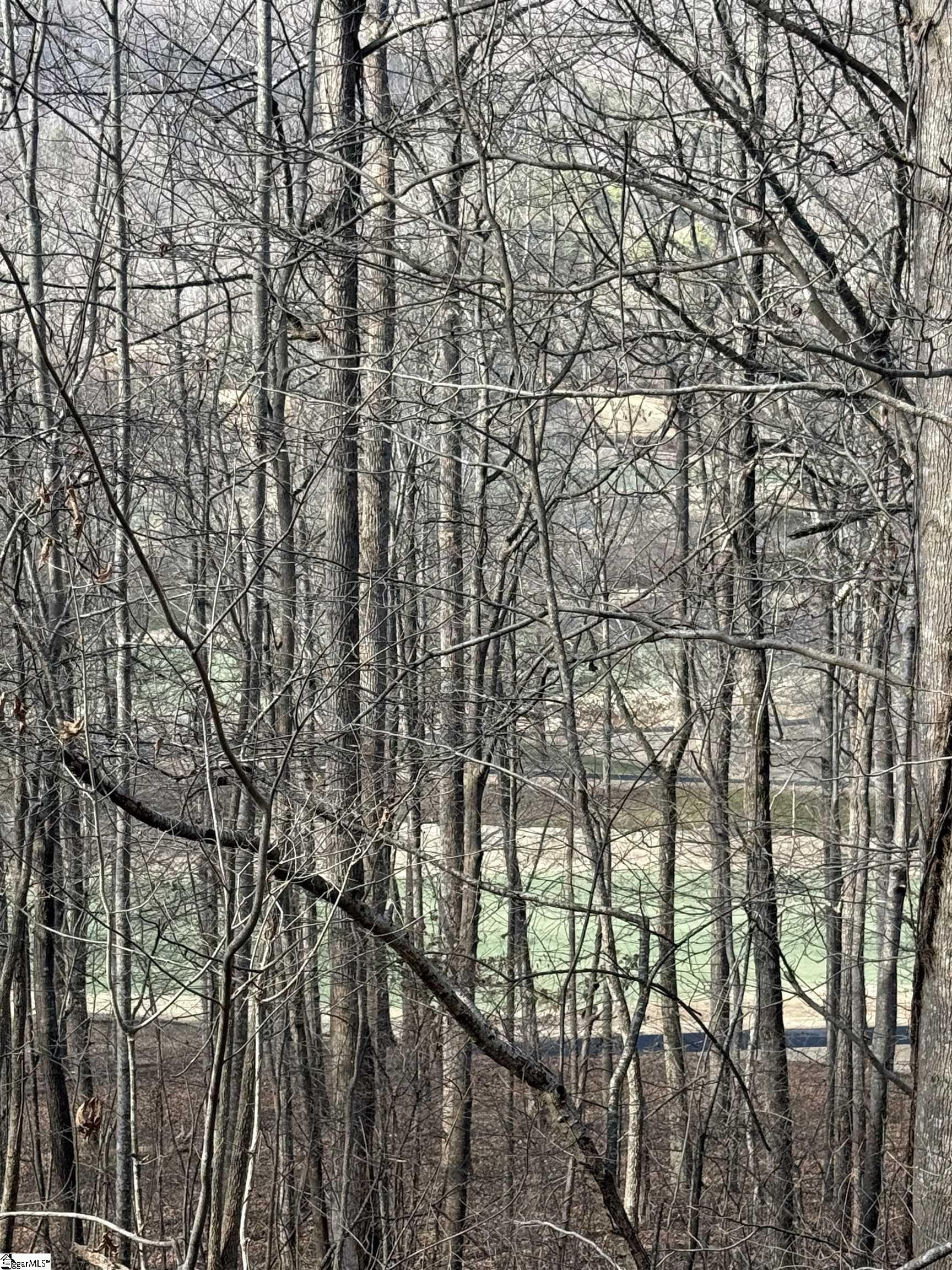Links Ledge Property Photo 11