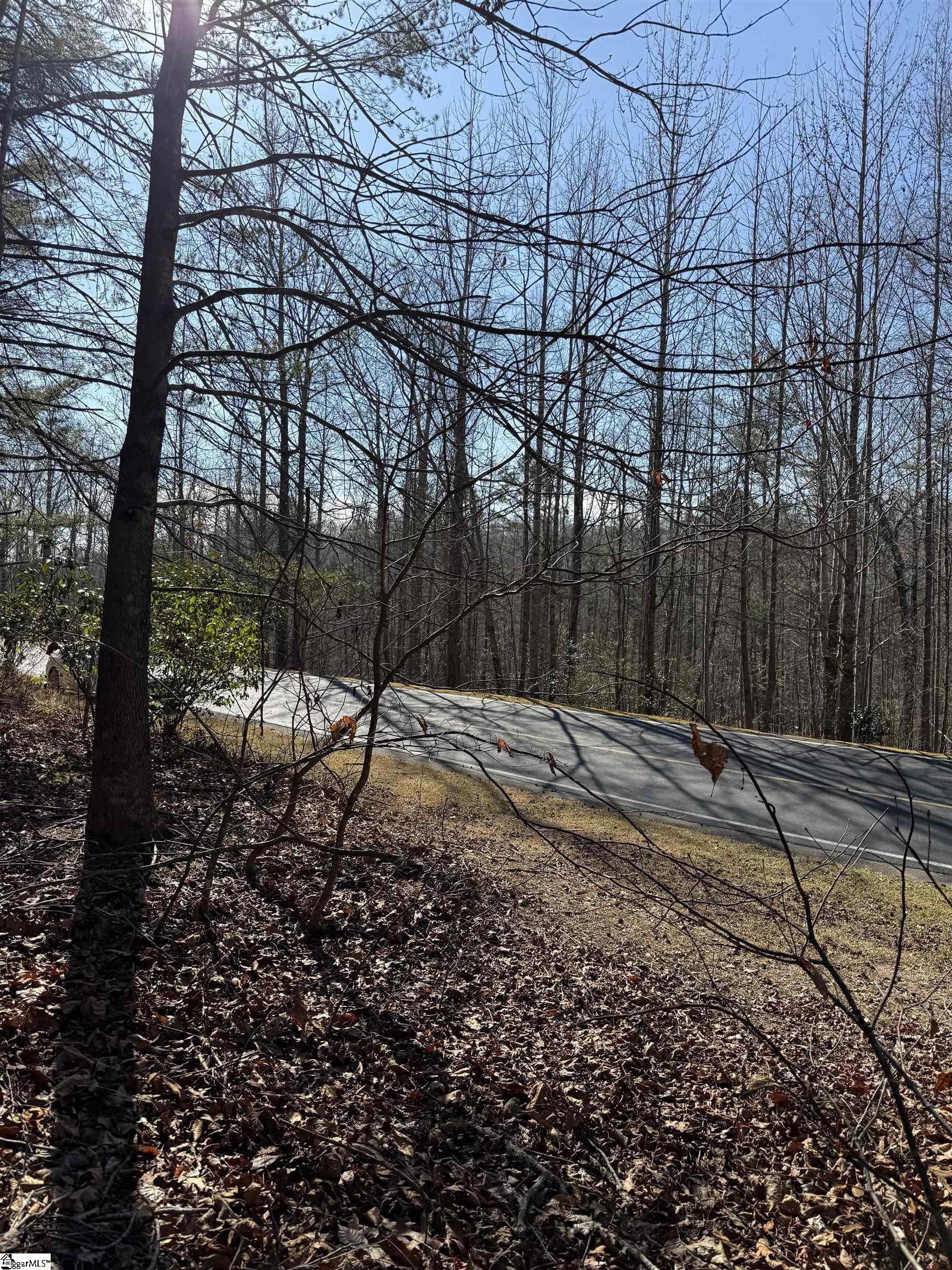 24 Windswept Lane Property Photo 9