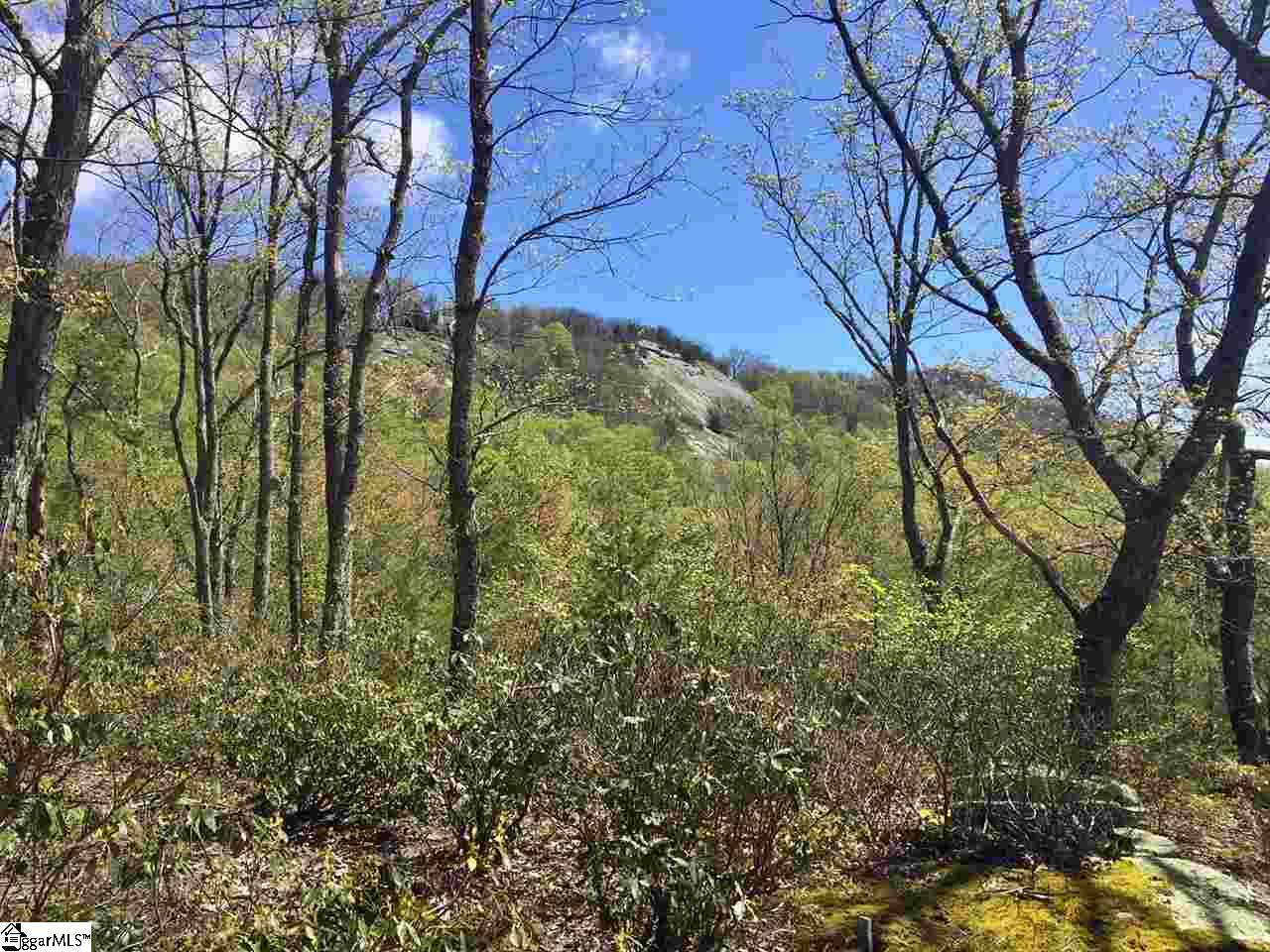 401 Stony Road Property Photo 3