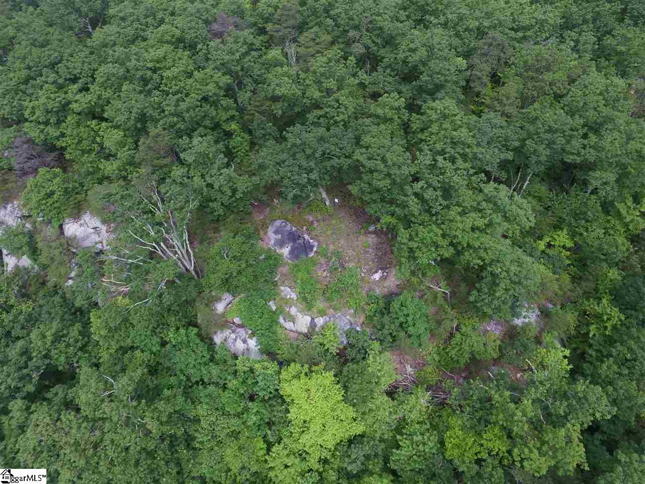 401 Stony Road Property Photo 5