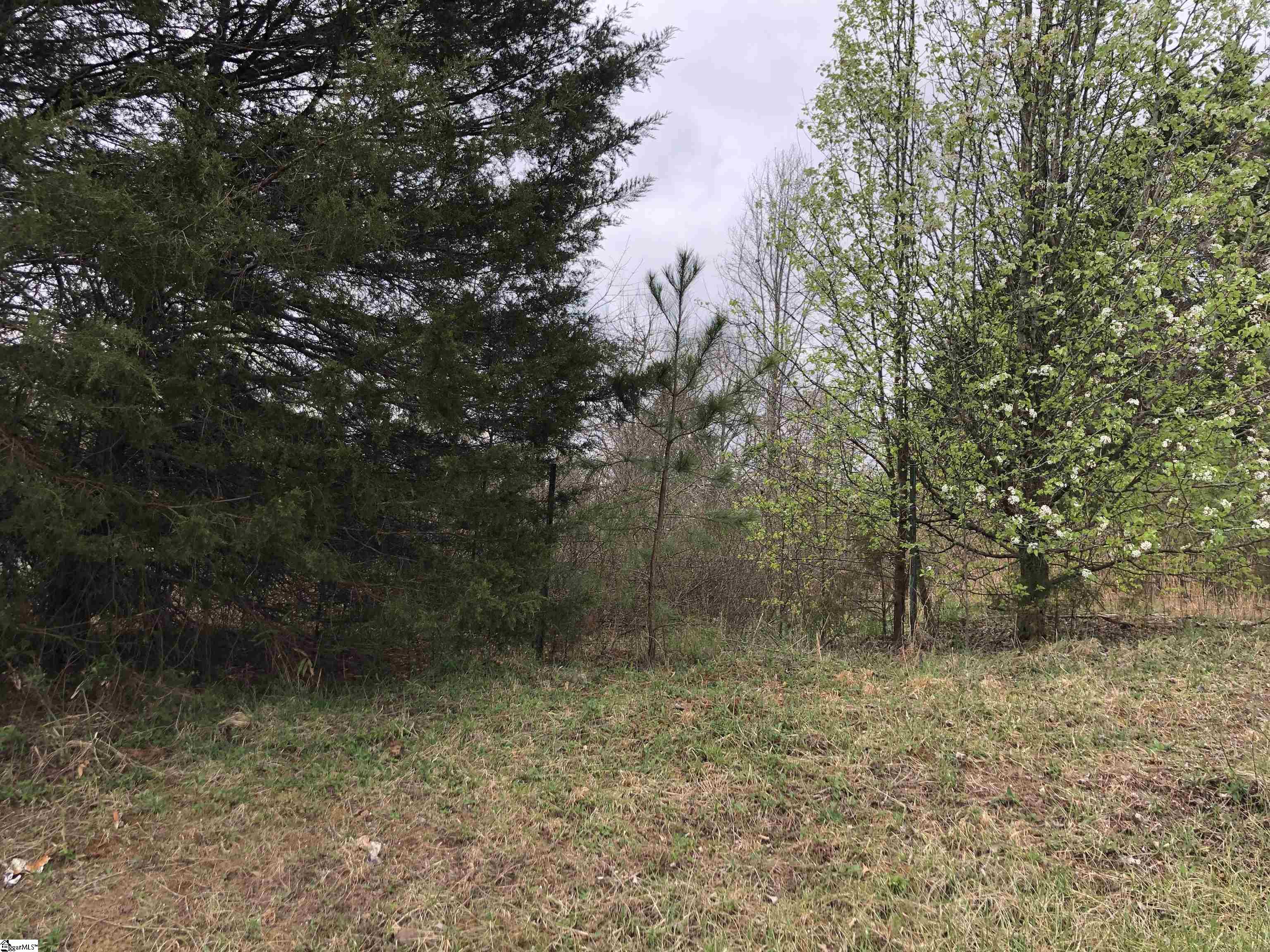 0 Lot 12 Jamyn Court Property Photo 1