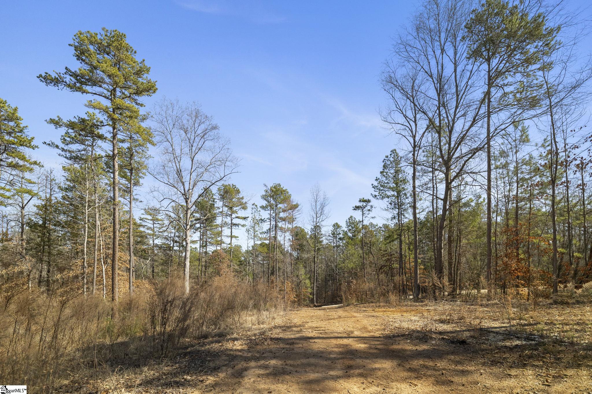 209 Starlight Lane Property Photo