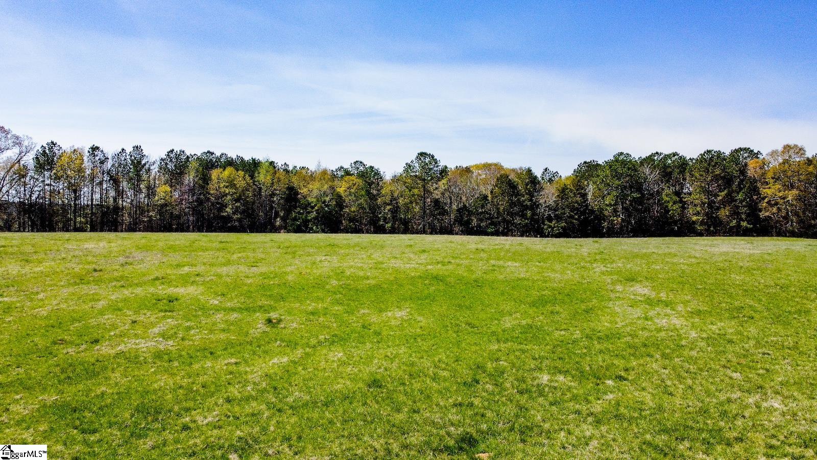 0 Gregg Shoals Road Property Photo