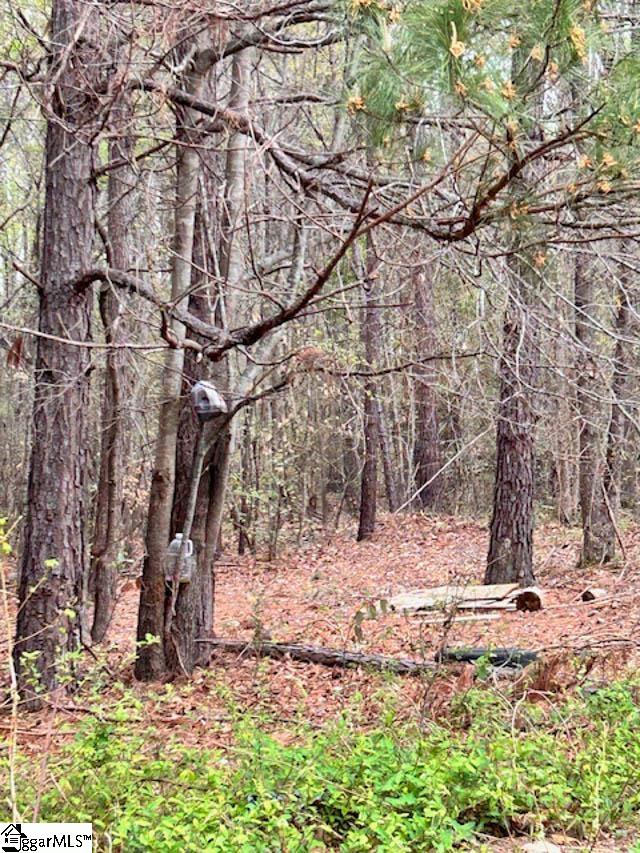 00 Tall Pines Road Property Photo