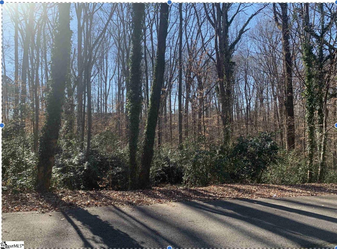 Forest Lane Drive Property Photo