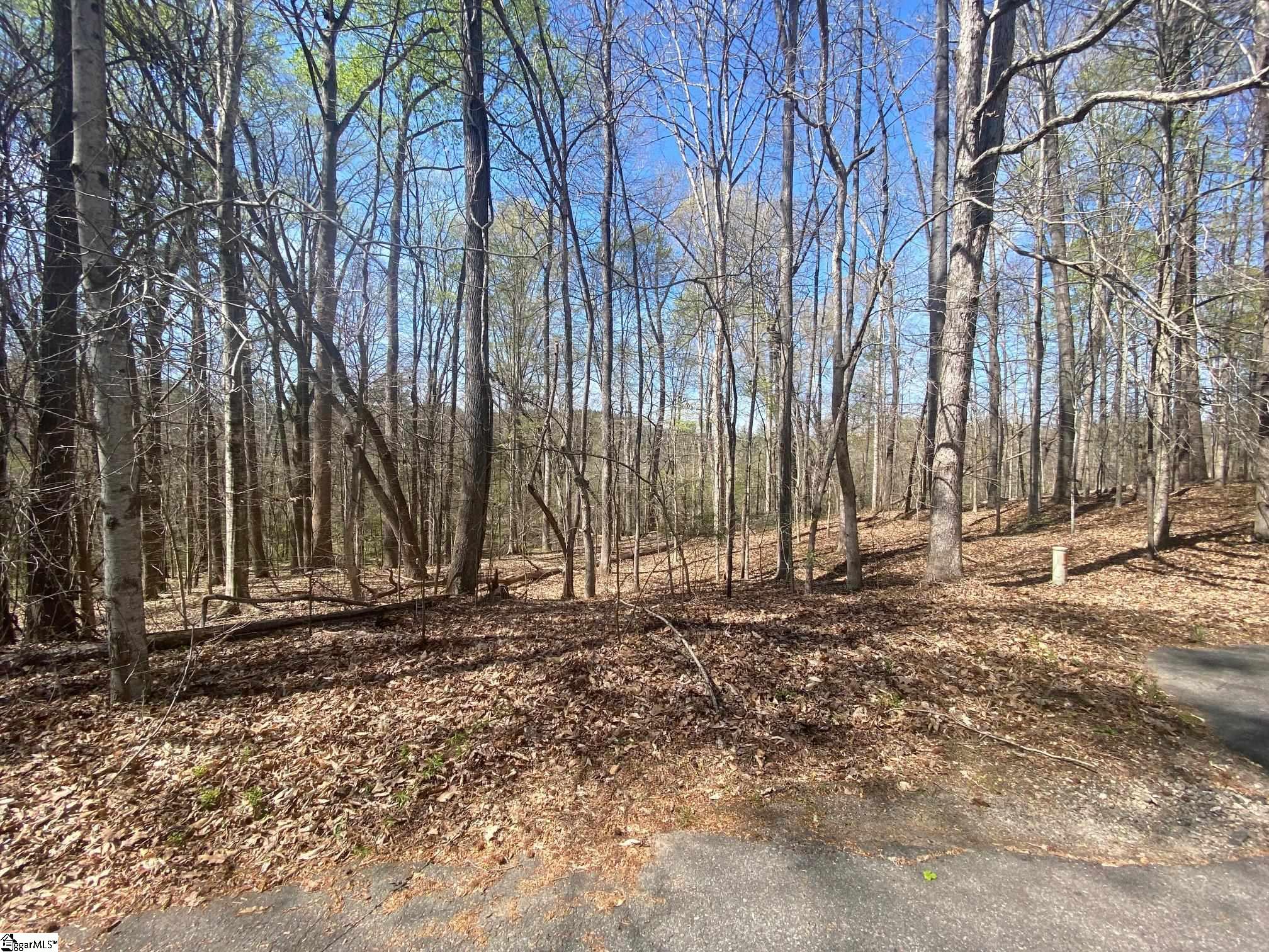 105 Dogleg Drive Property Photo