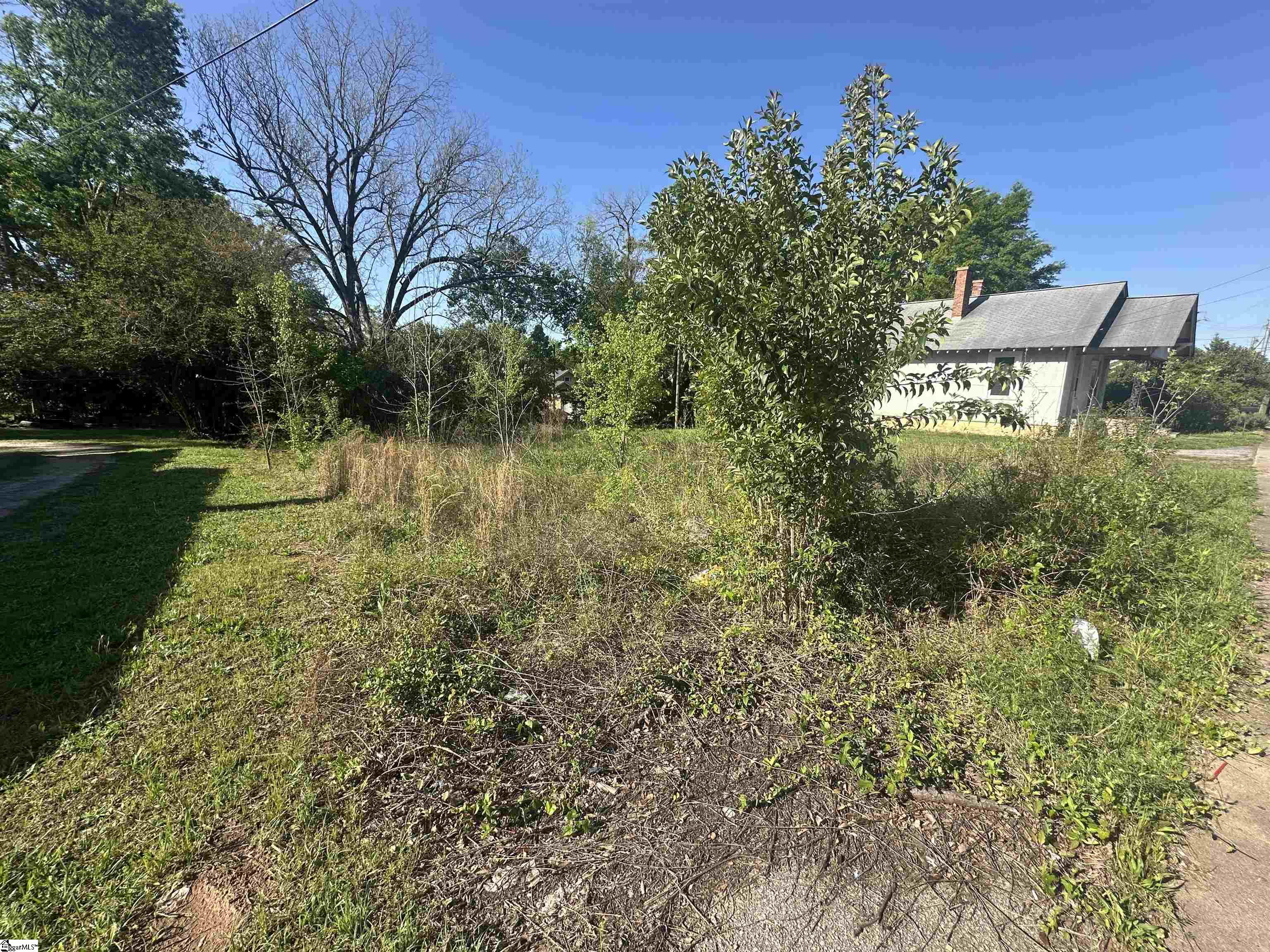 320 Fleming Street Property Photo 4
