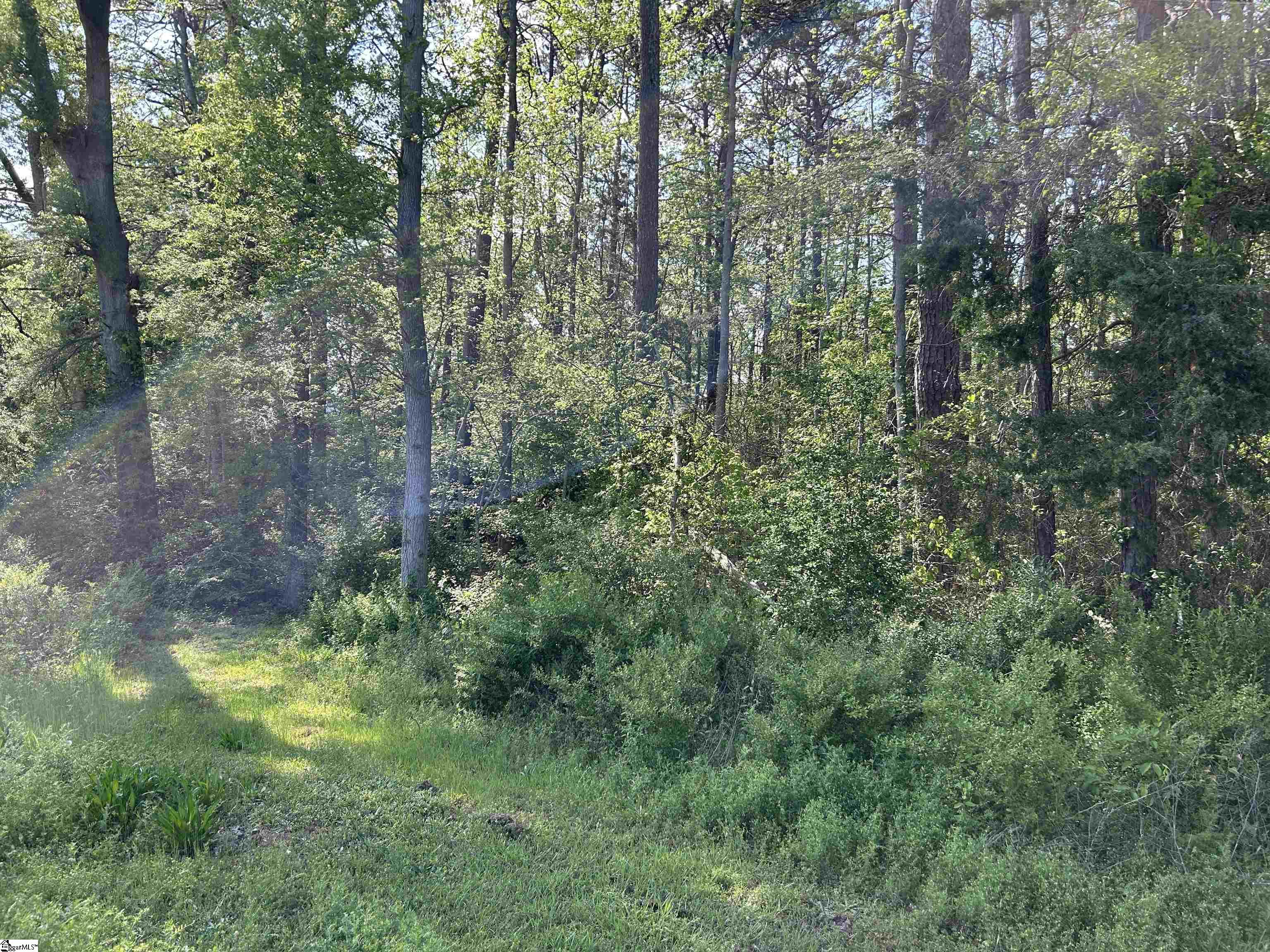 00 Woodland Drive Property Photo
