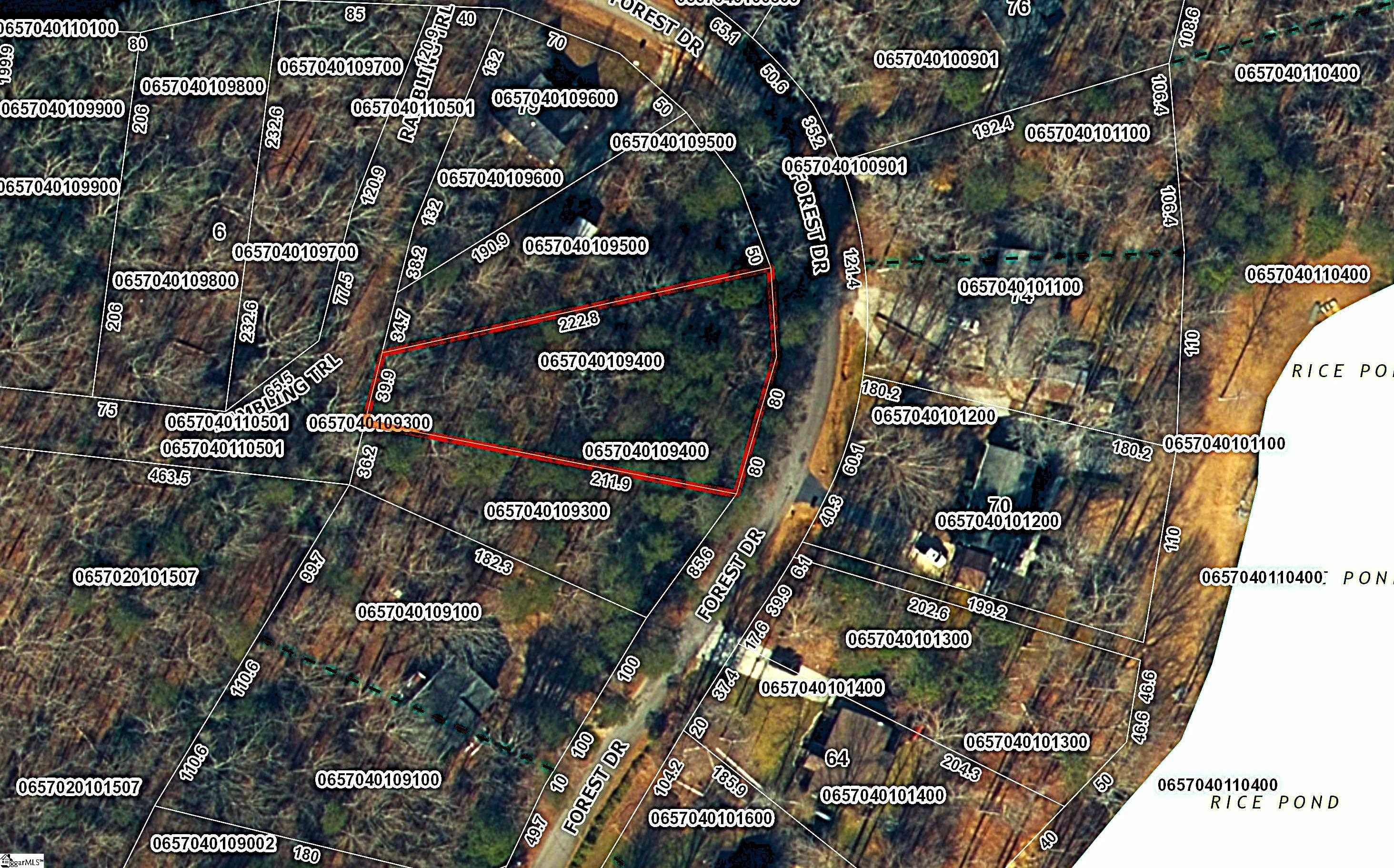 Forest Drive Property Photo